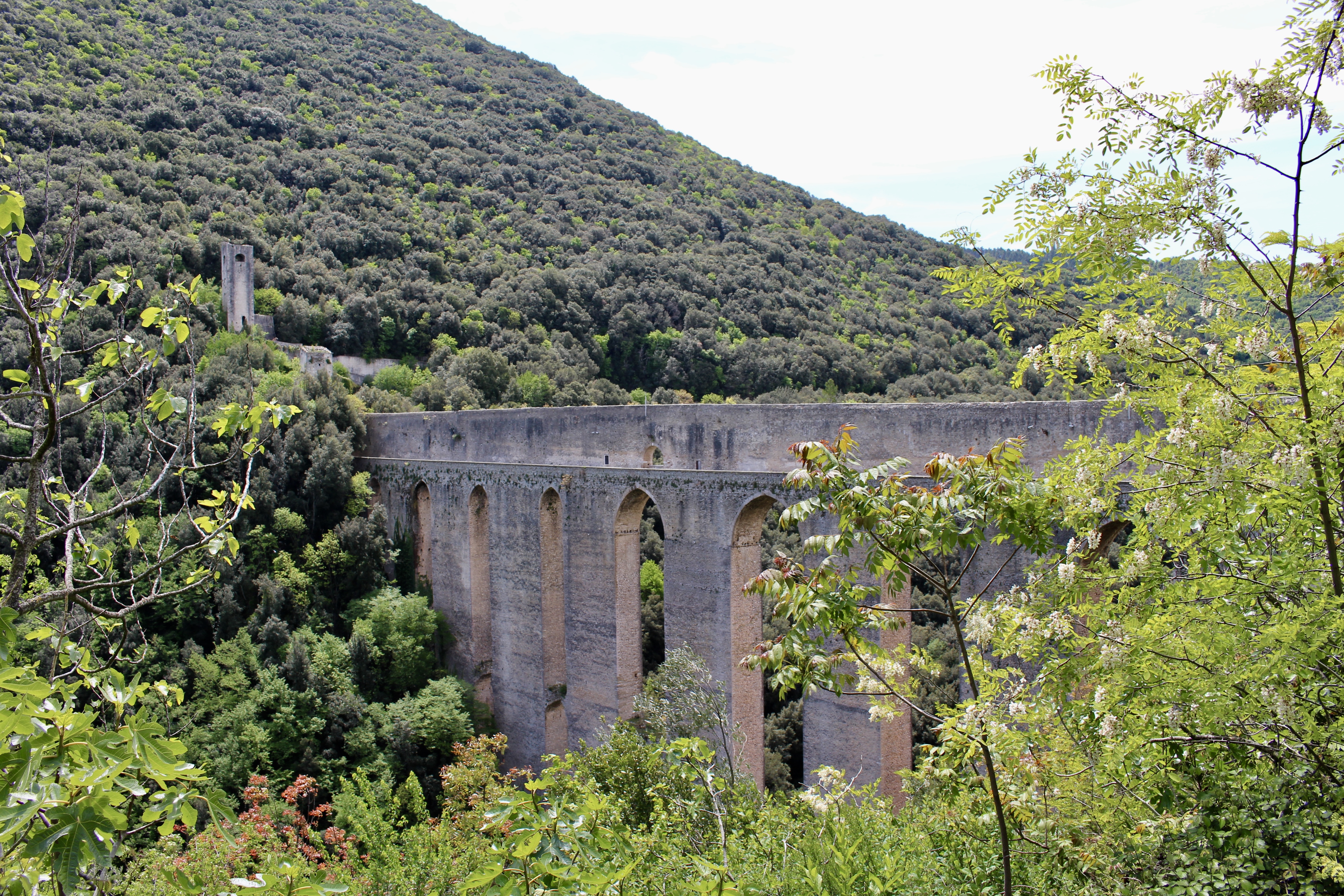 fullsizeoutput_18c53