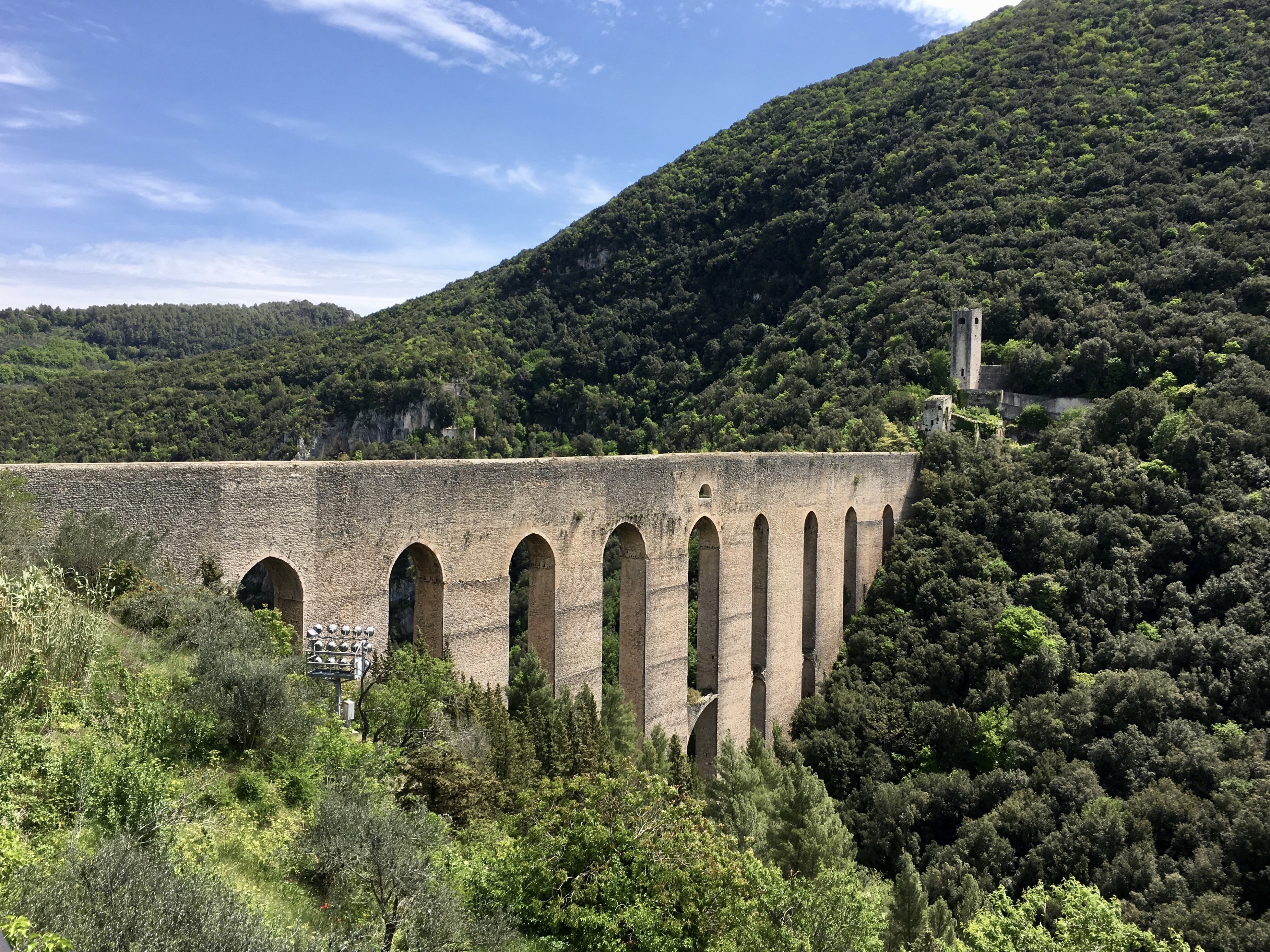 fullsizeoutput_1925f