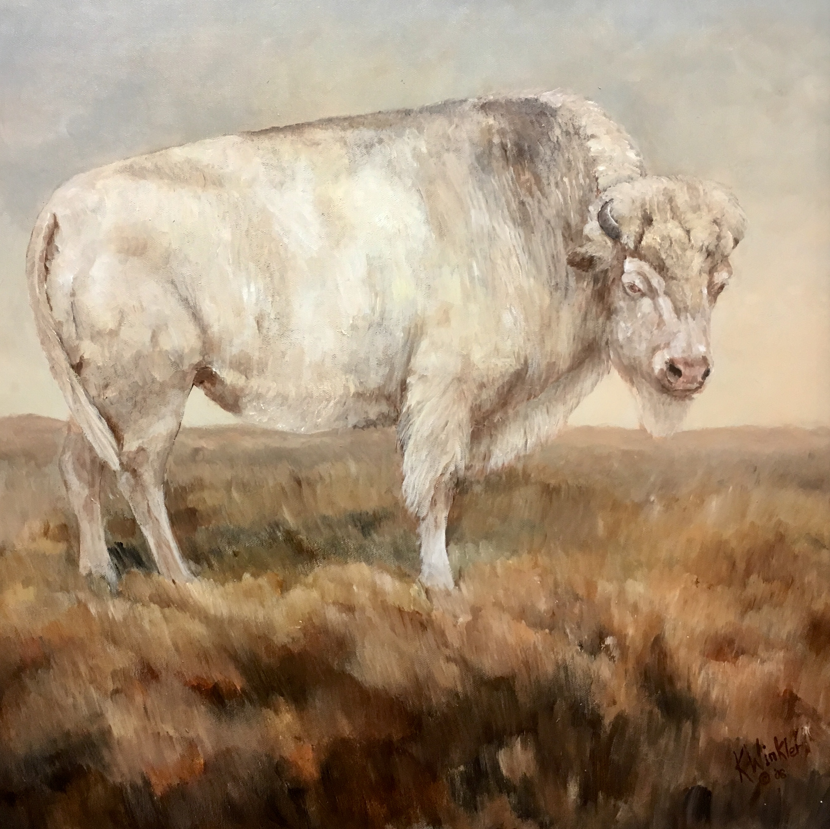 fullsizeoutput_1a511