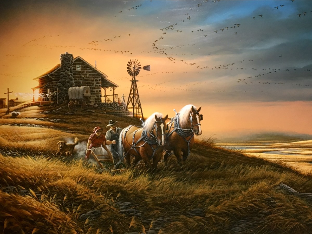 fullsizeoutput_1a593