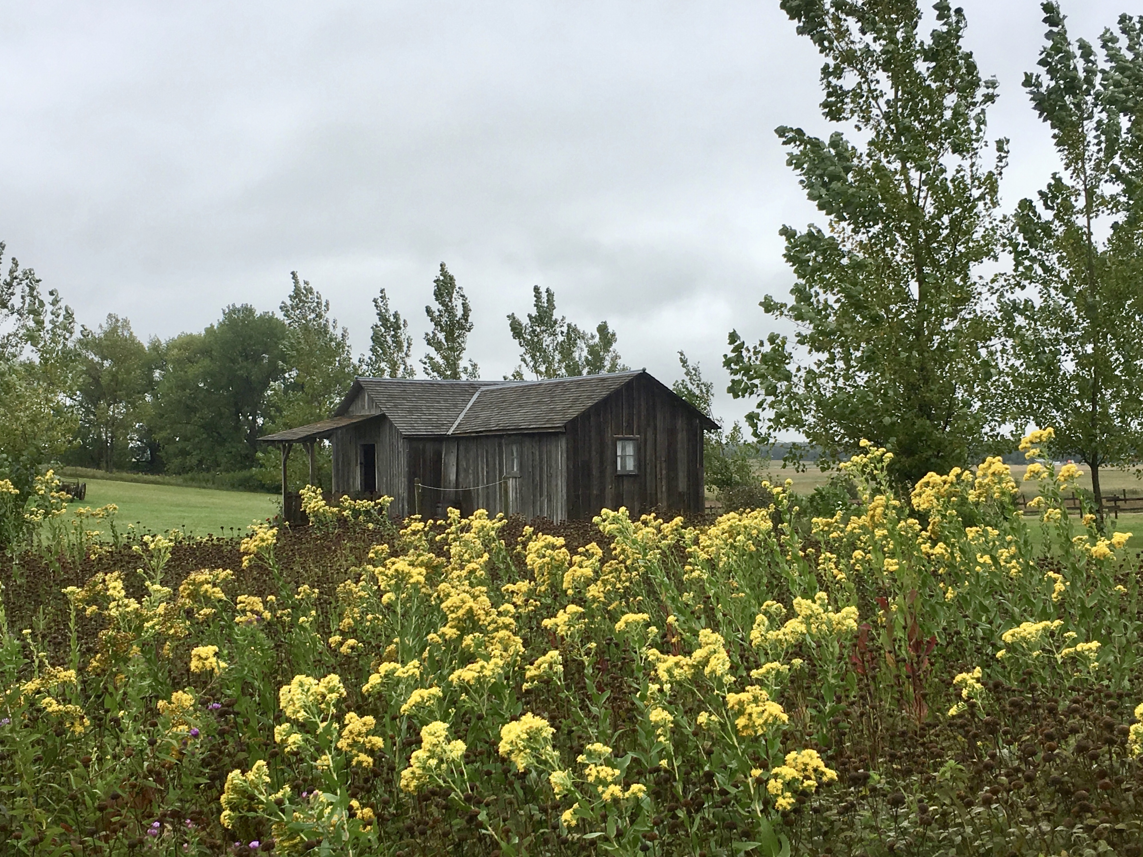 fullsizeoutput_1b42a