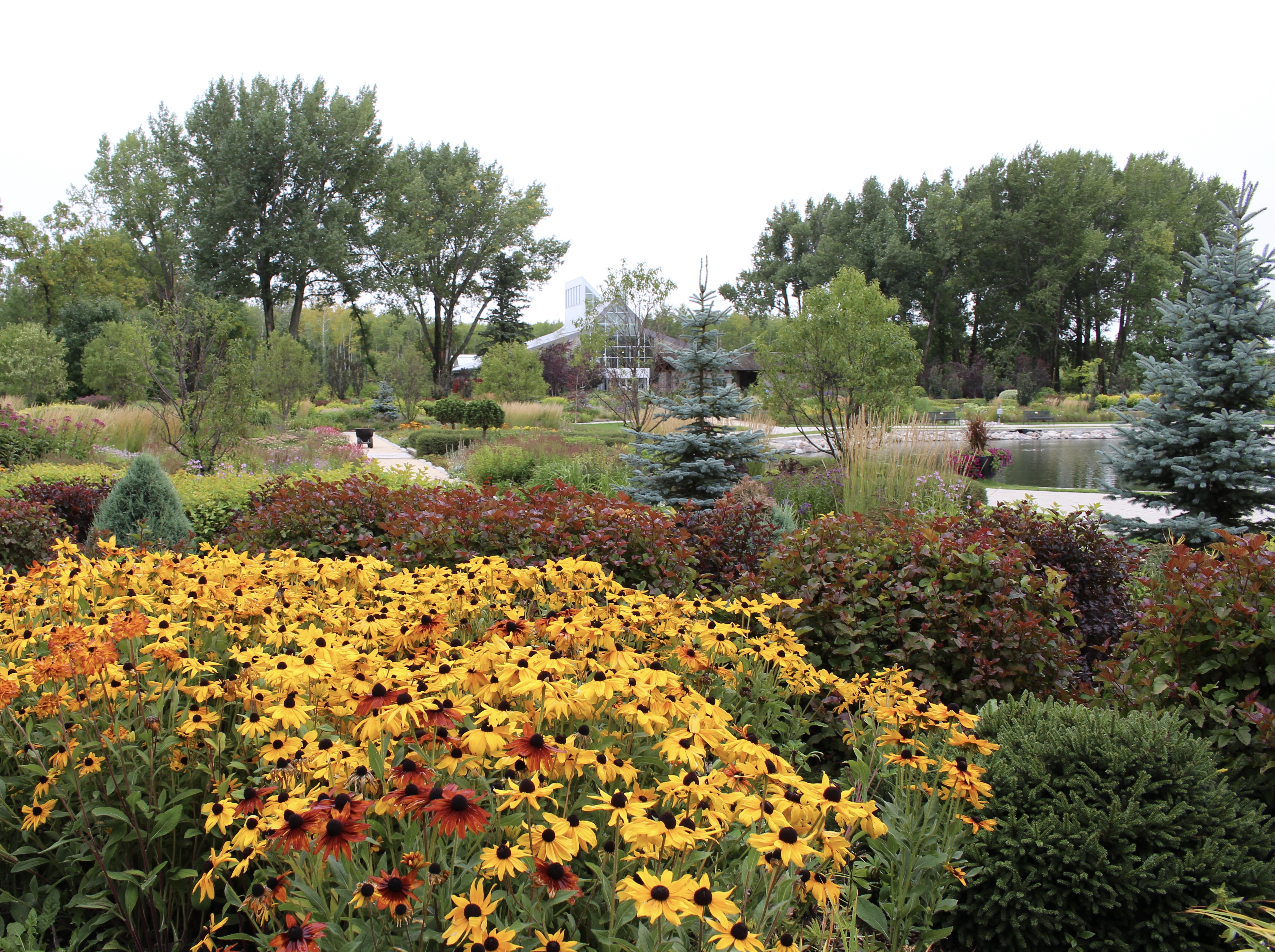 fullsizeoutput_1e34e