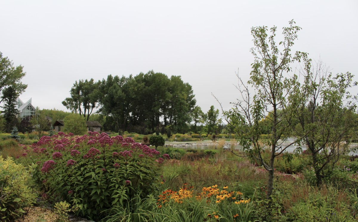 fullsizeoutput_1e34f