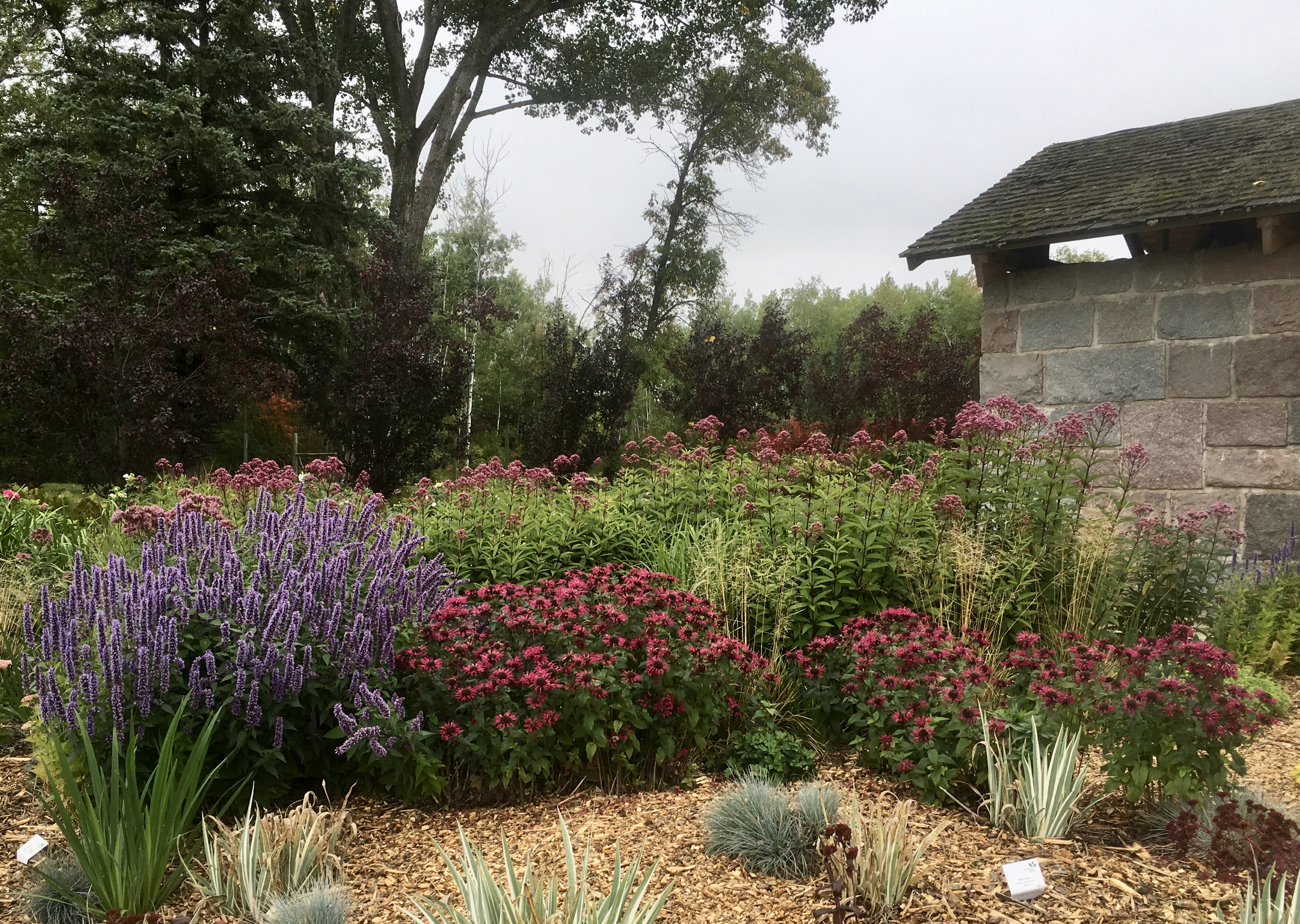 fullsizeoutput_1e355