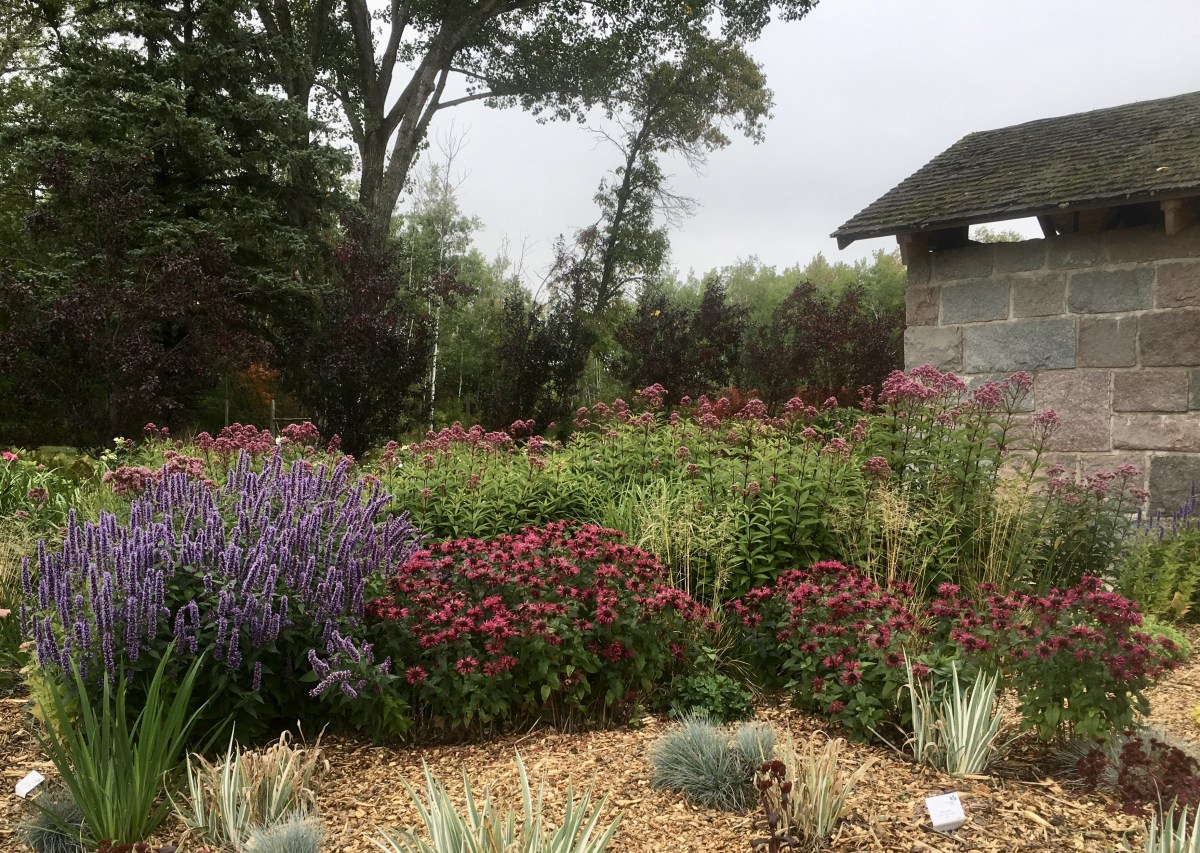 fullsizeoutput_1e355