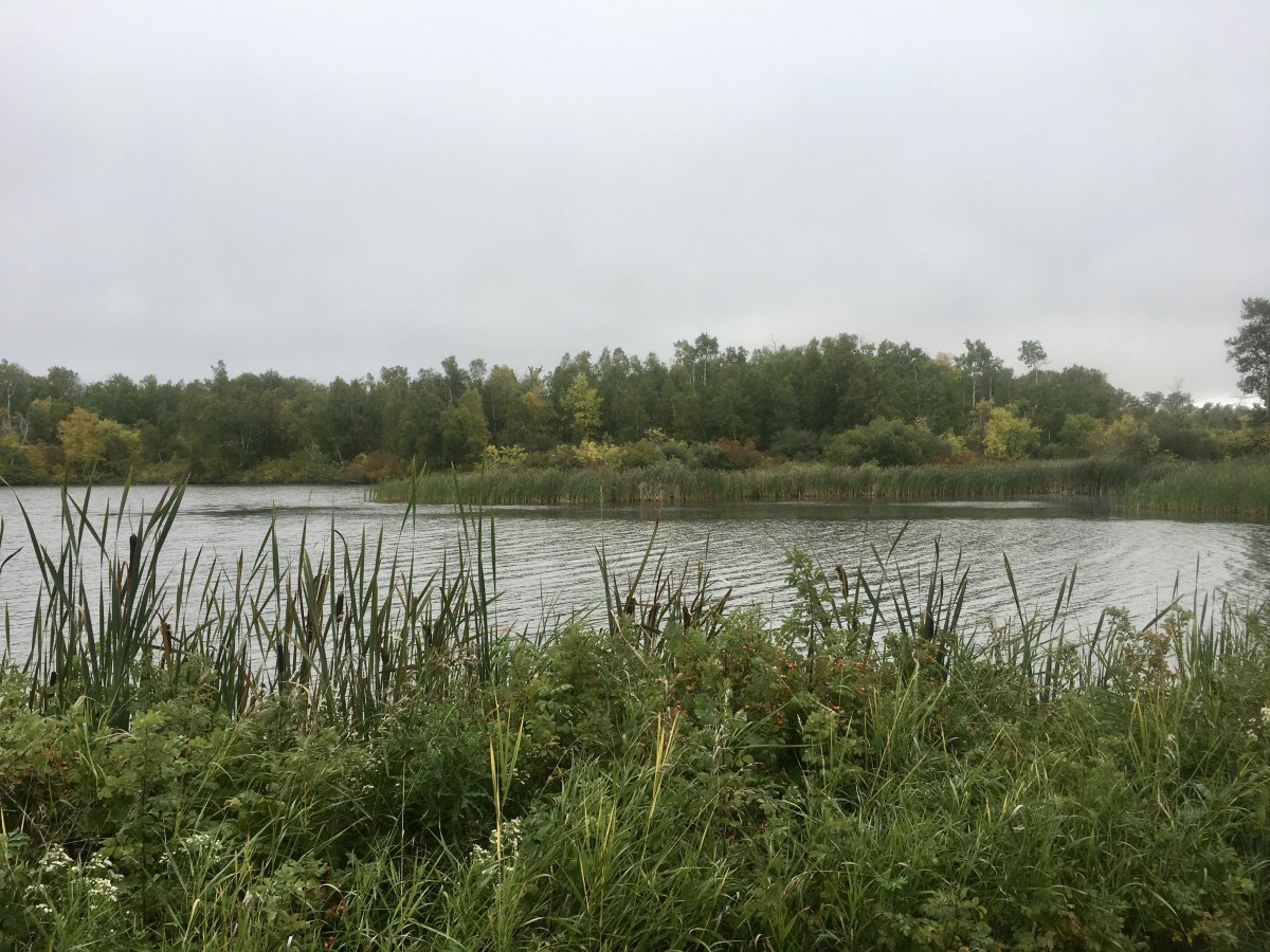 fullsizeoutput_1e36b