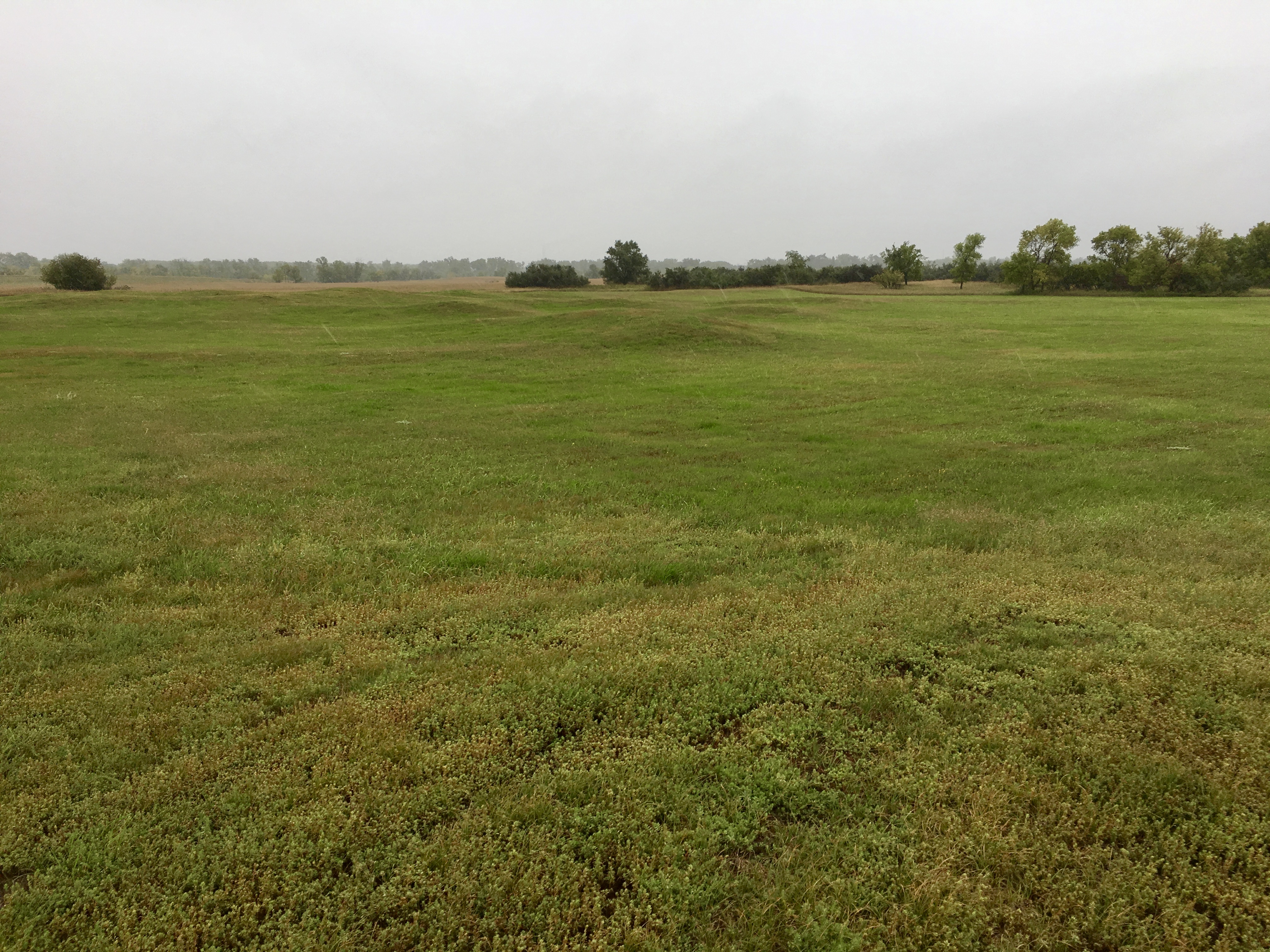 fullsizeoutput_1e3e5