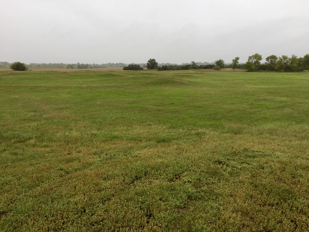 fullsizeoutput_1e3e5