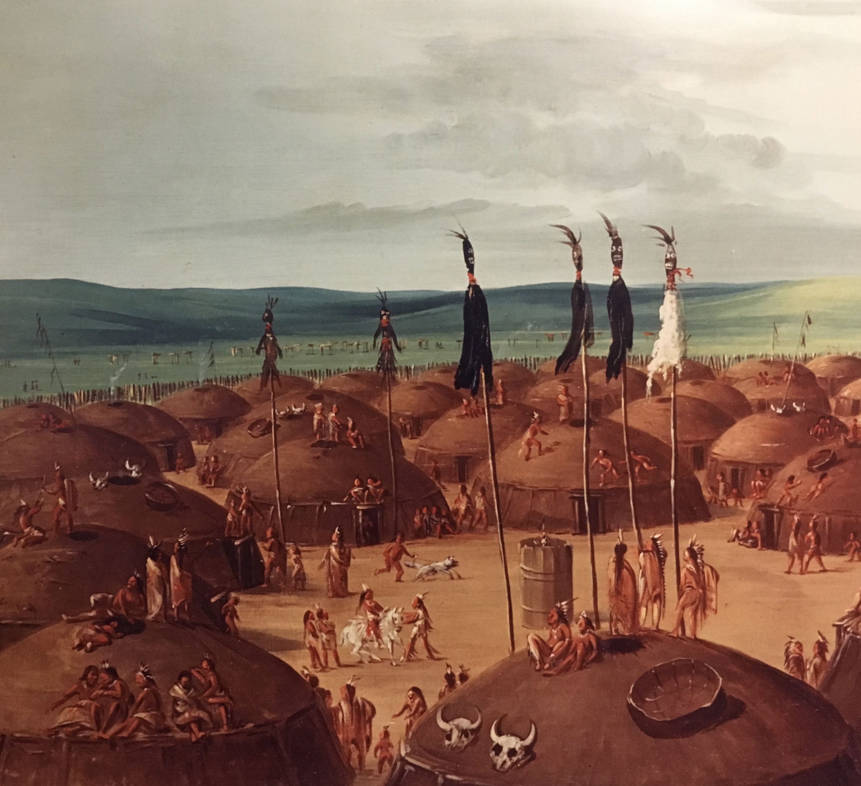 fullsizeoutput_1e3e9