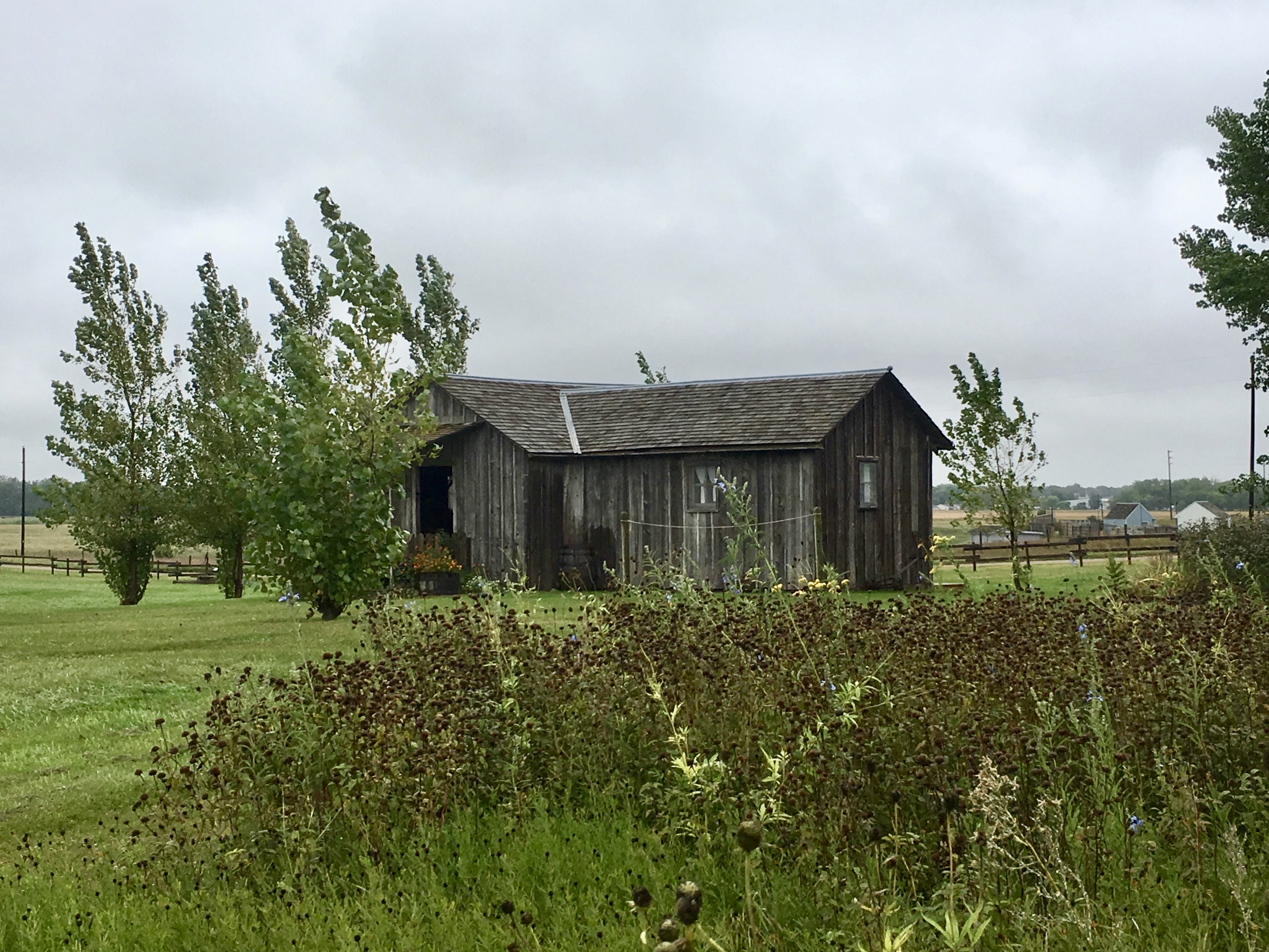 fullsizeoutput_1ed93