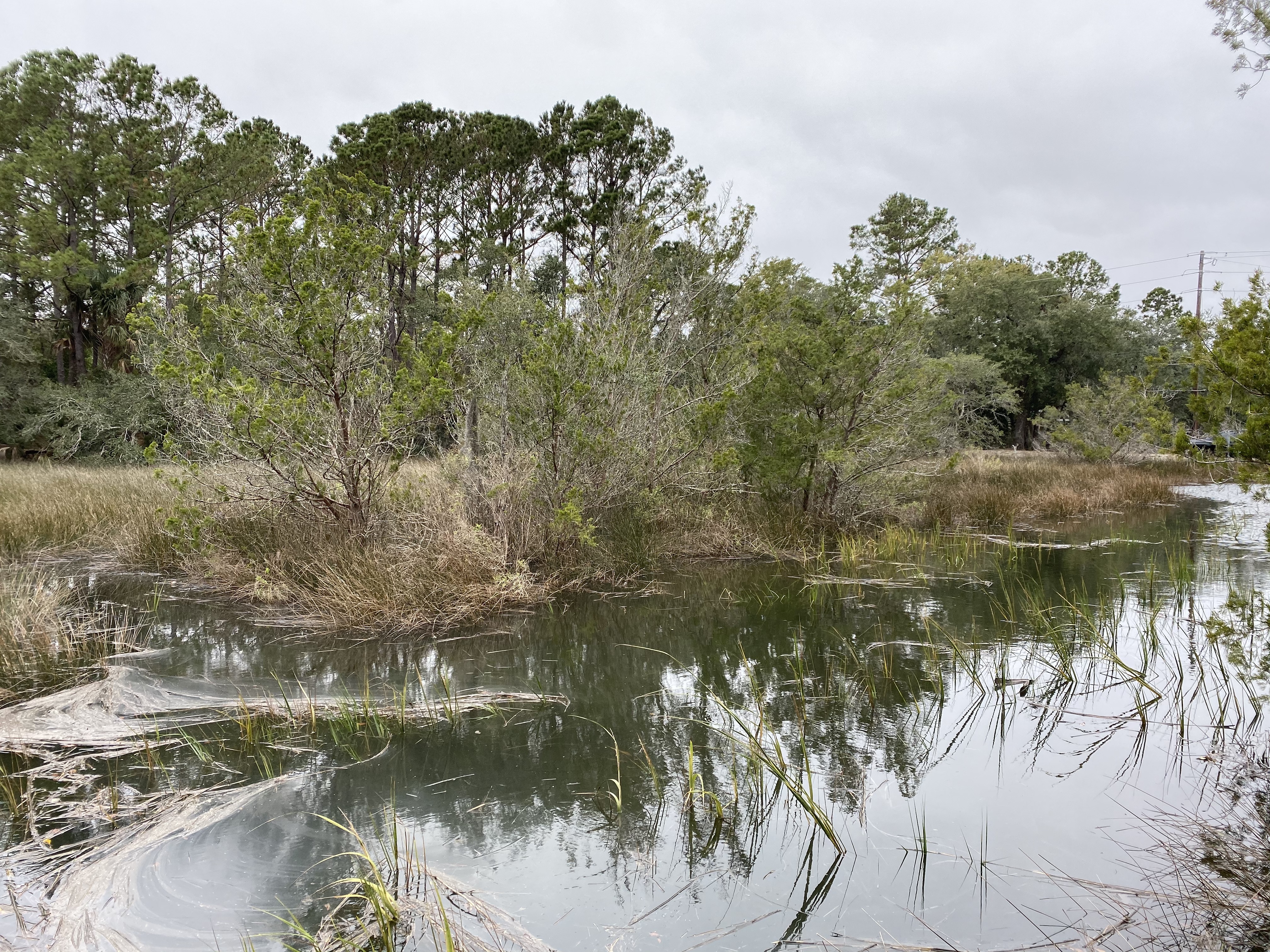 CzOt+TcTSPGA1QGDeMFOaA