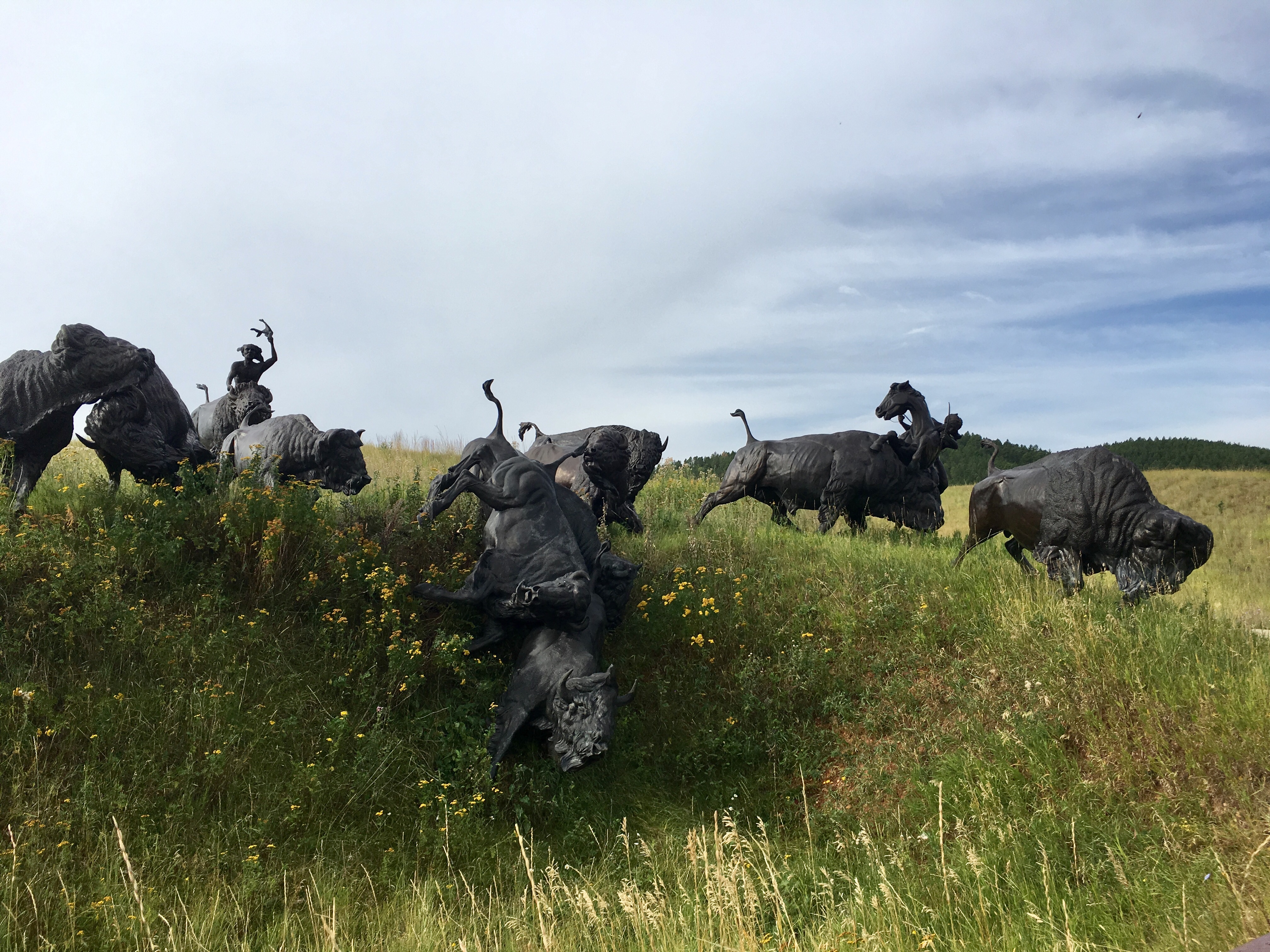 fullsizeoutput_1a438