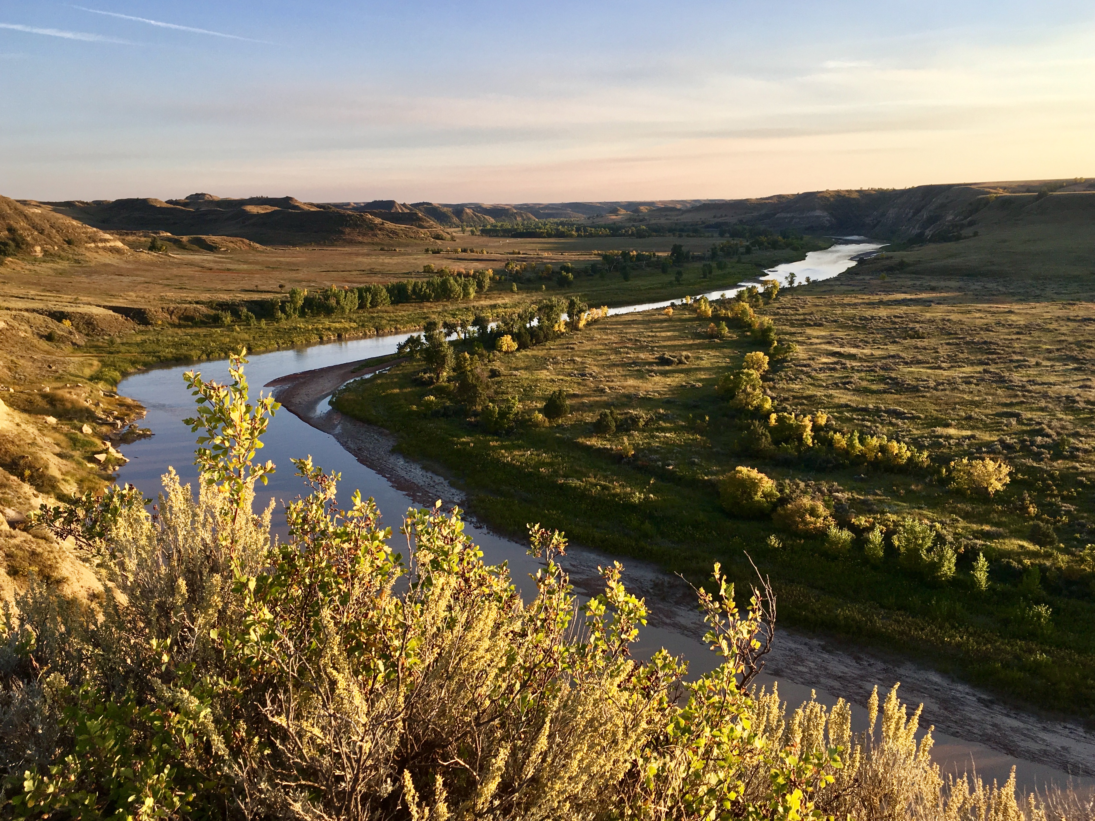 fullsizeoutput_1a44d