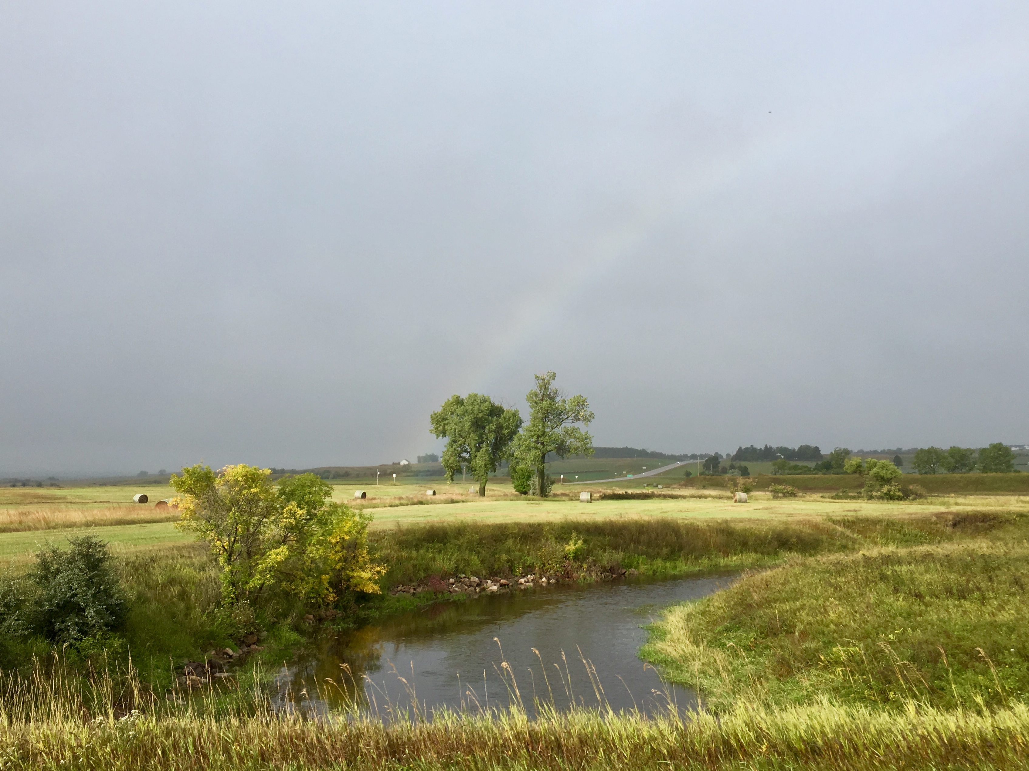 fullsizeoutput_1a49d