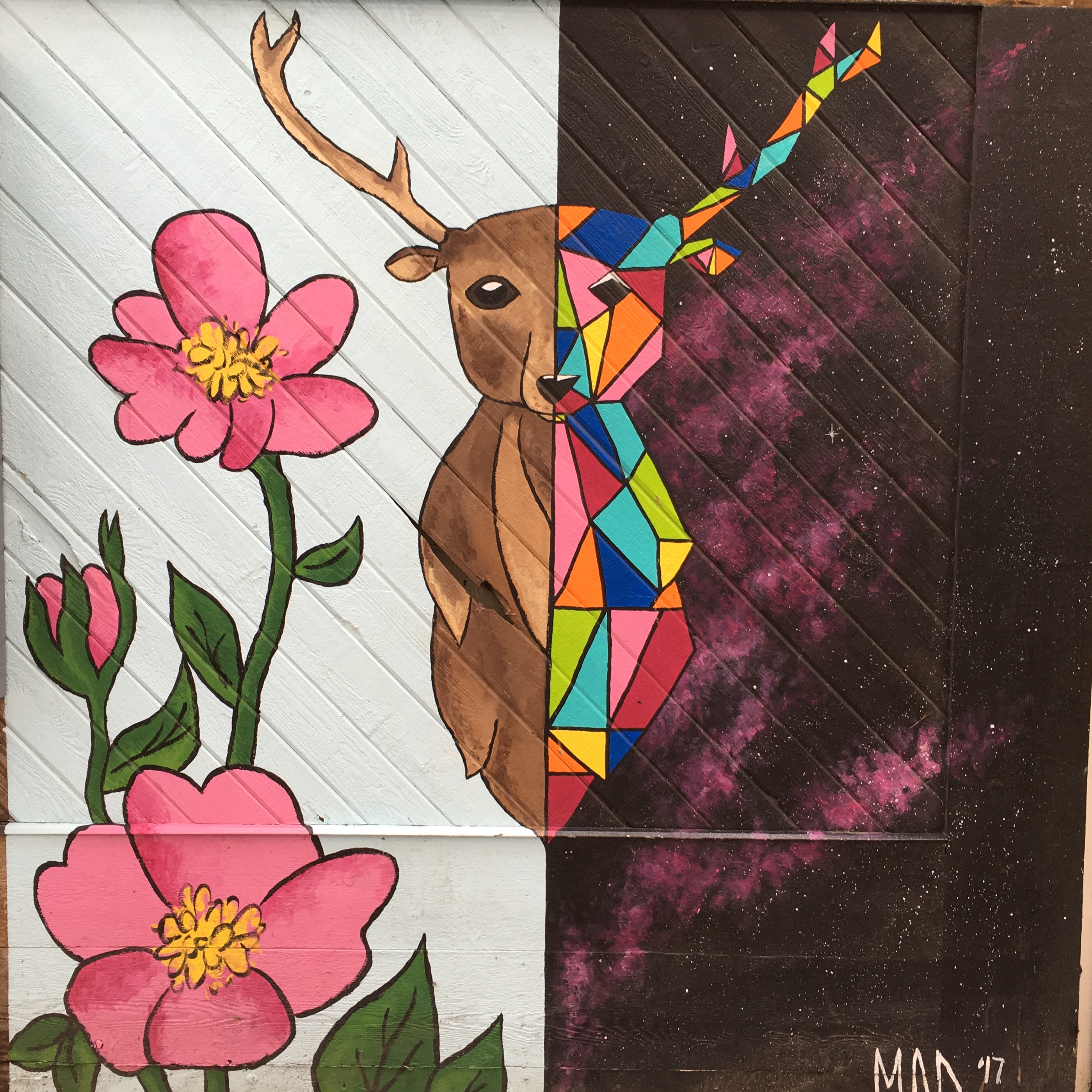 fullsizeoutput_1a4a1