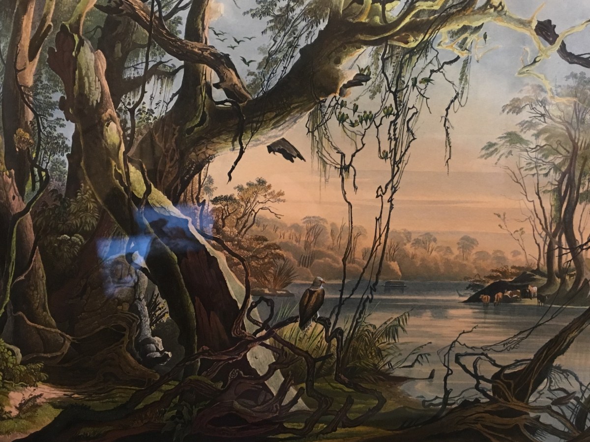 fullsizeoutput_1a4b8