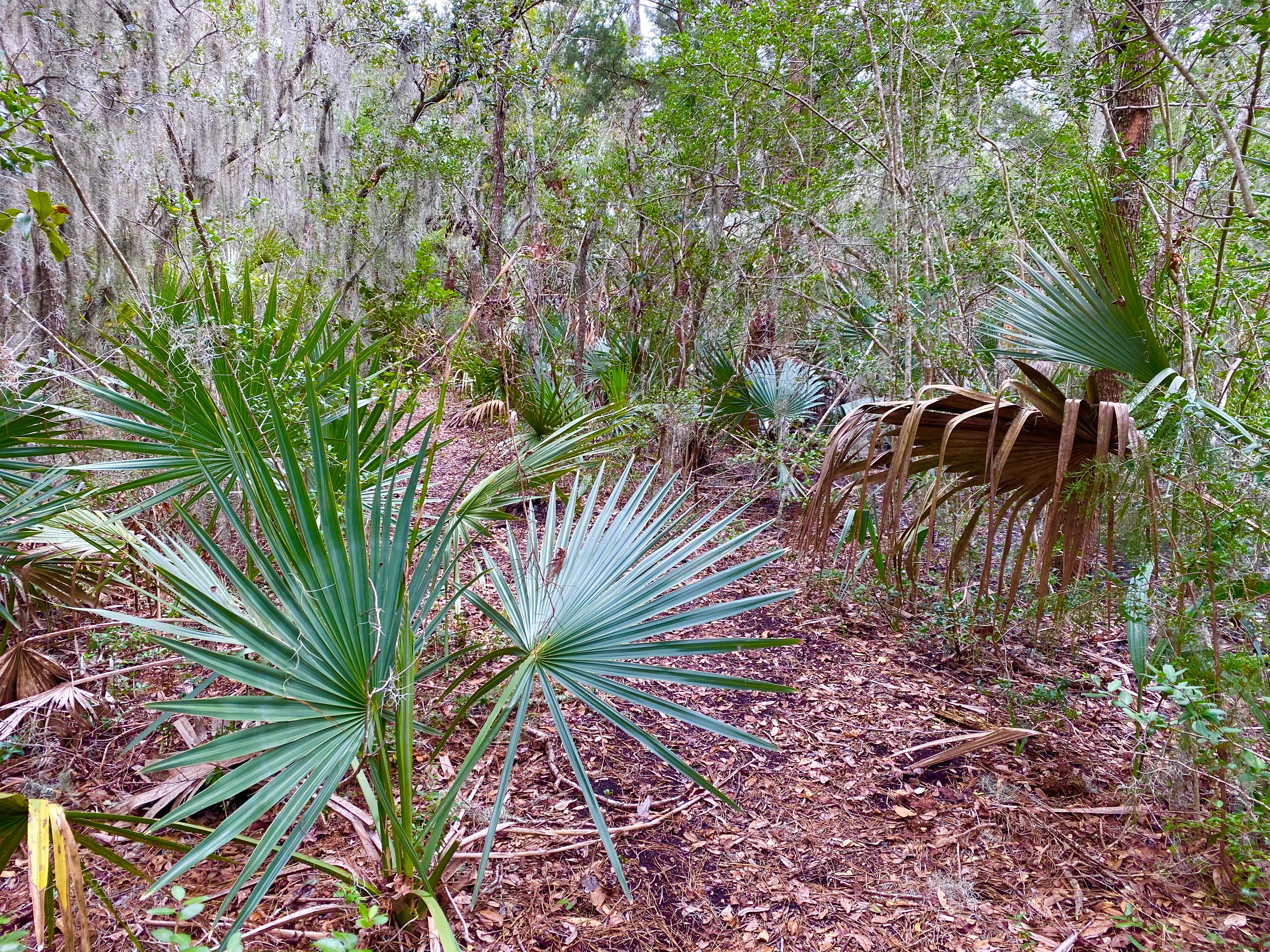 fullsizeoutput_1b1ce