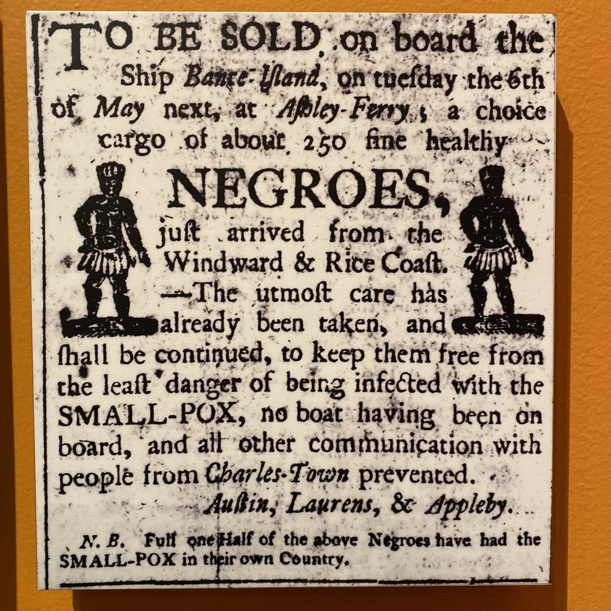 fullsizeoutput_1b1e0