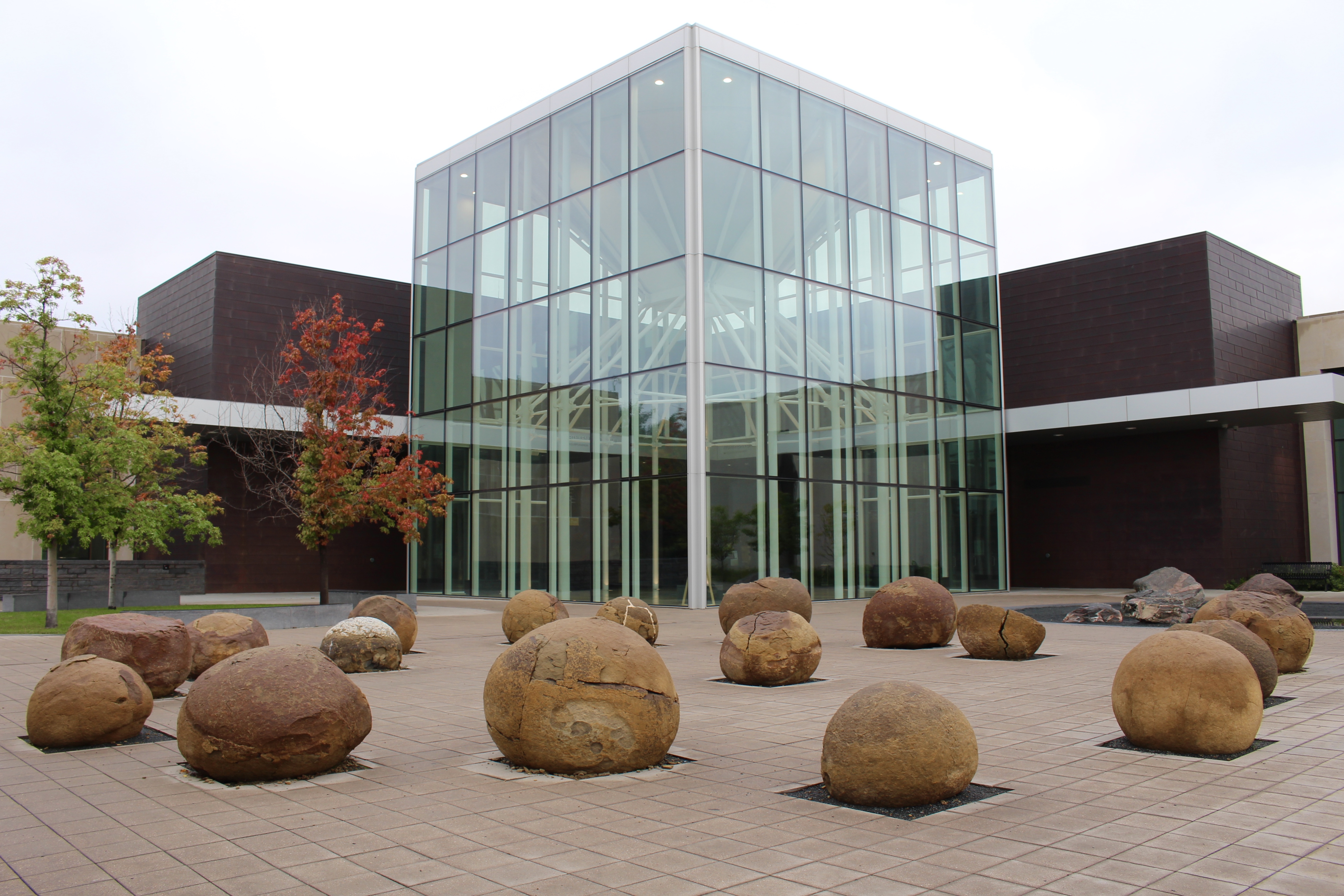 fullsizeoutput_1e435