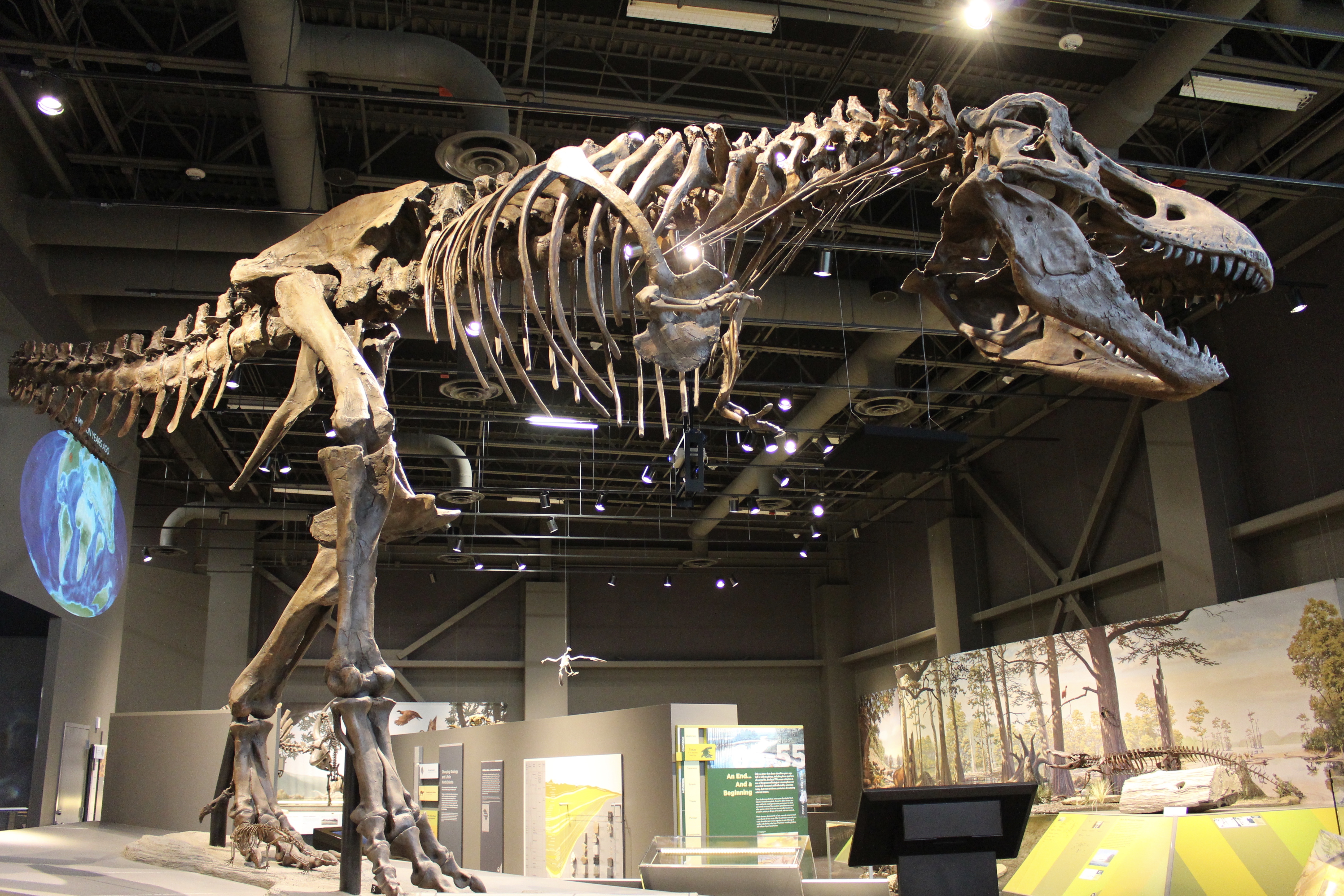 fullsizeoutput_1e50c