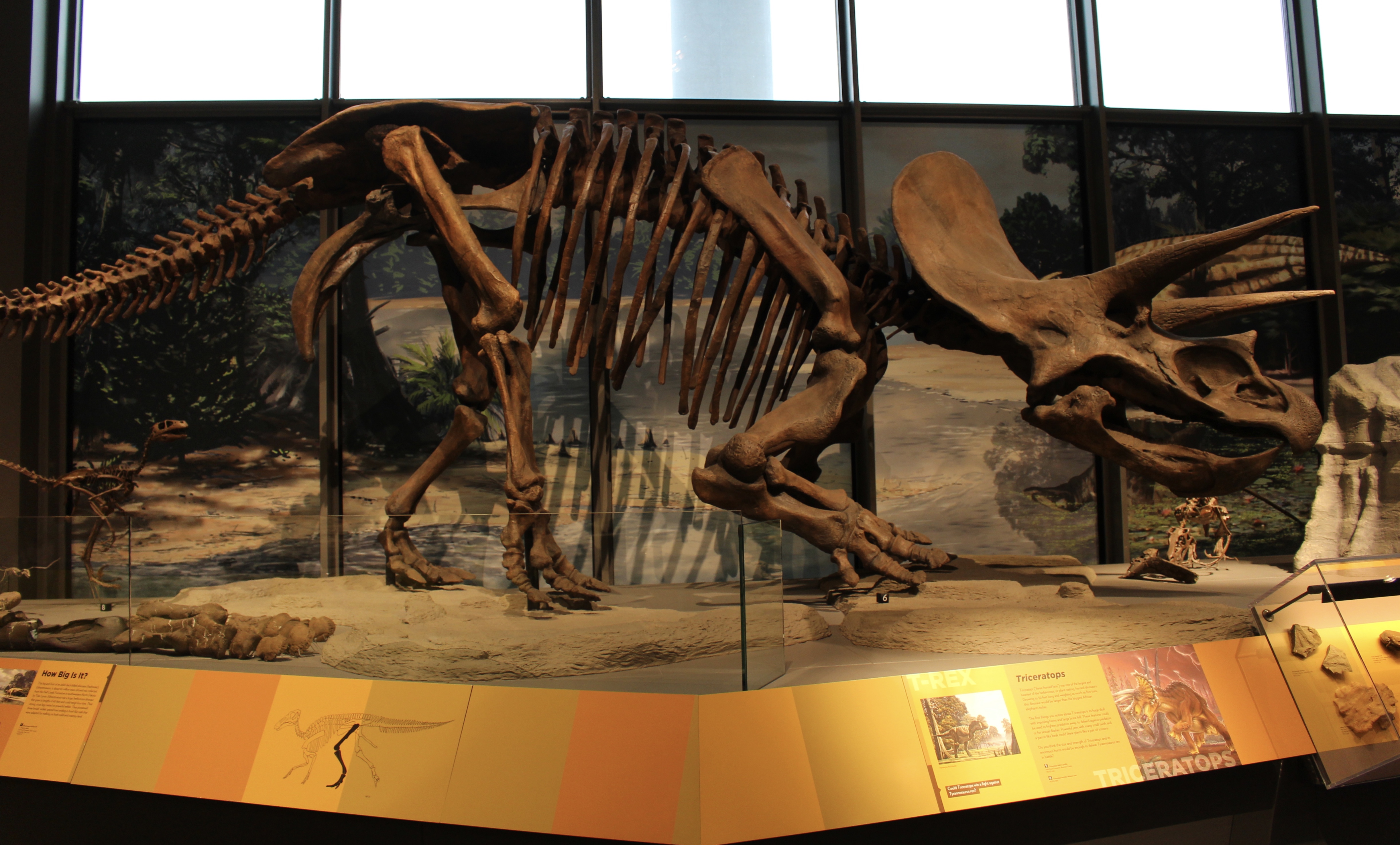 fullsizeoutput_1e50d