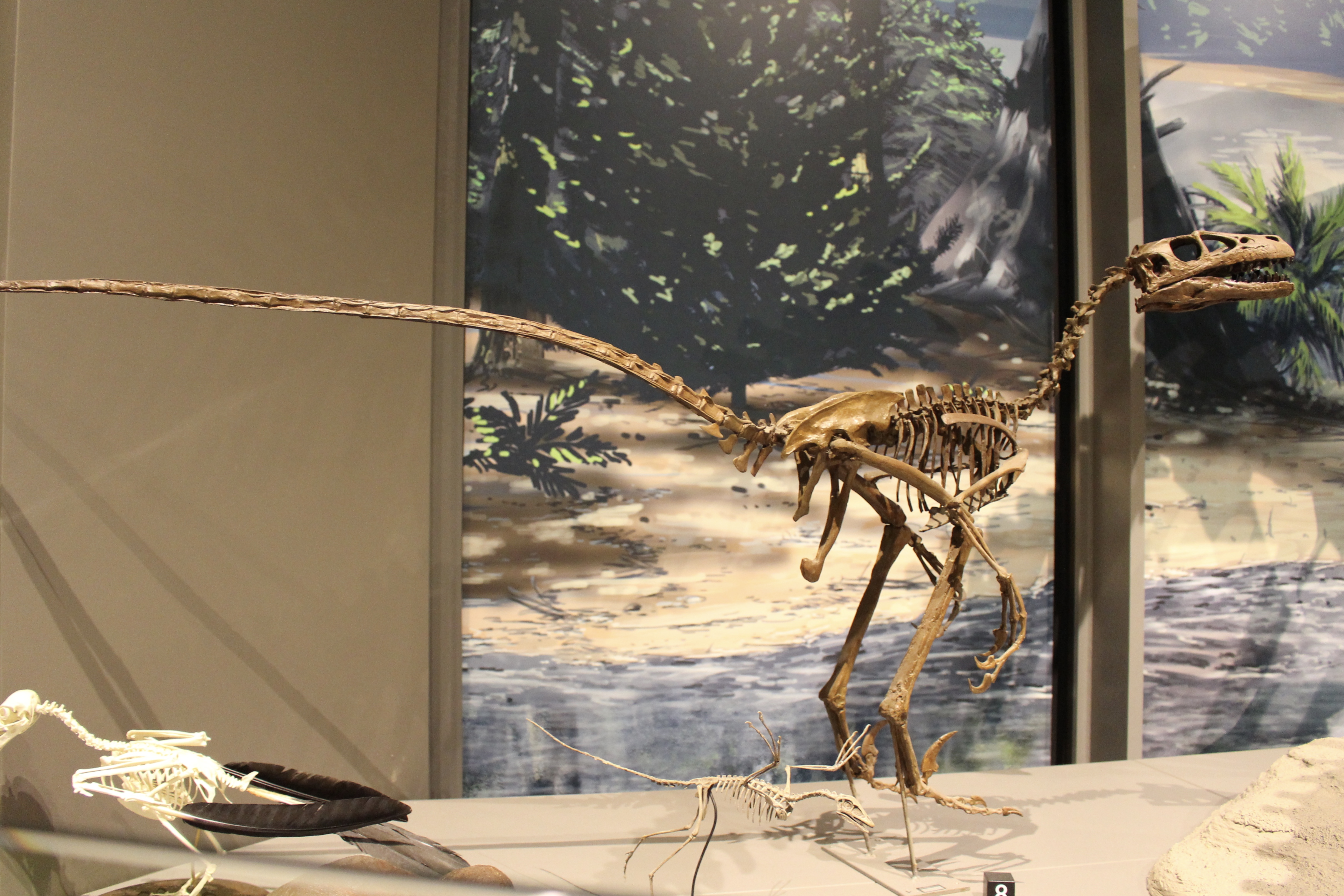 fullsizeoutput_1e50f