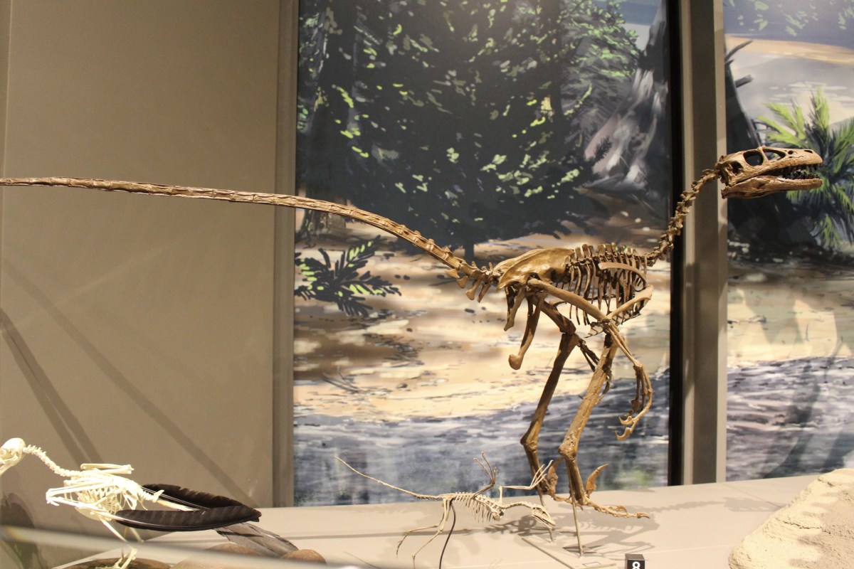 fullsizeoutput_1e50f