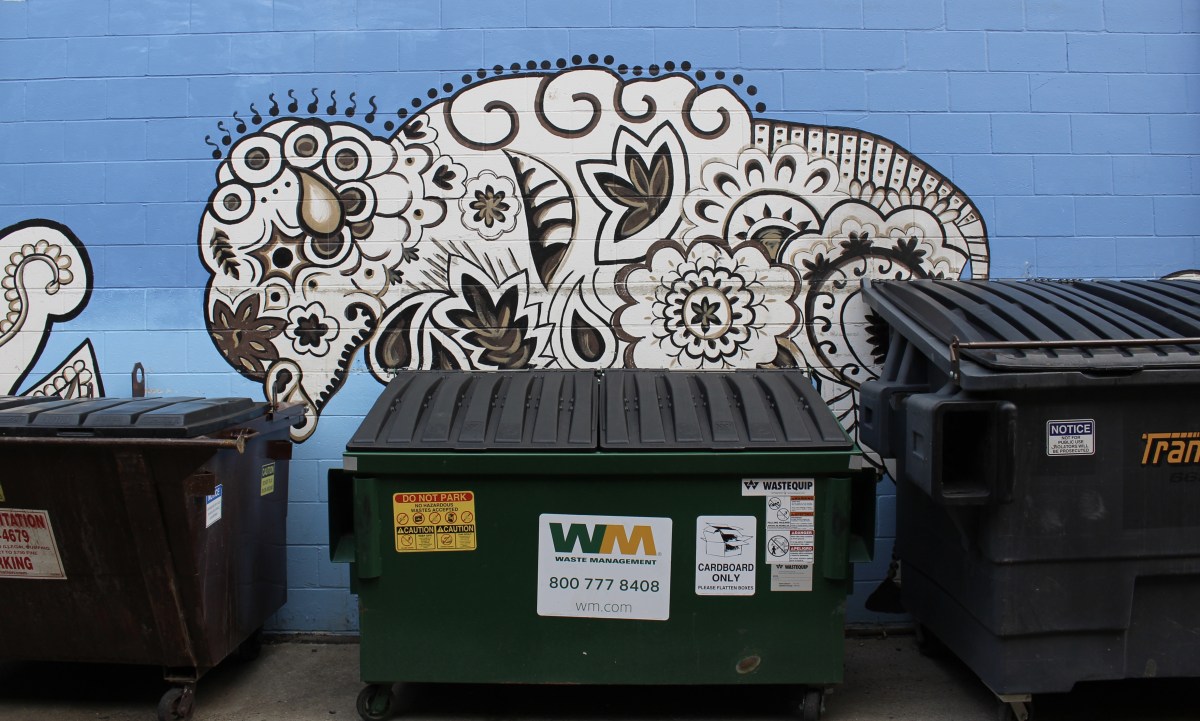 fullsizeoutput_1e523