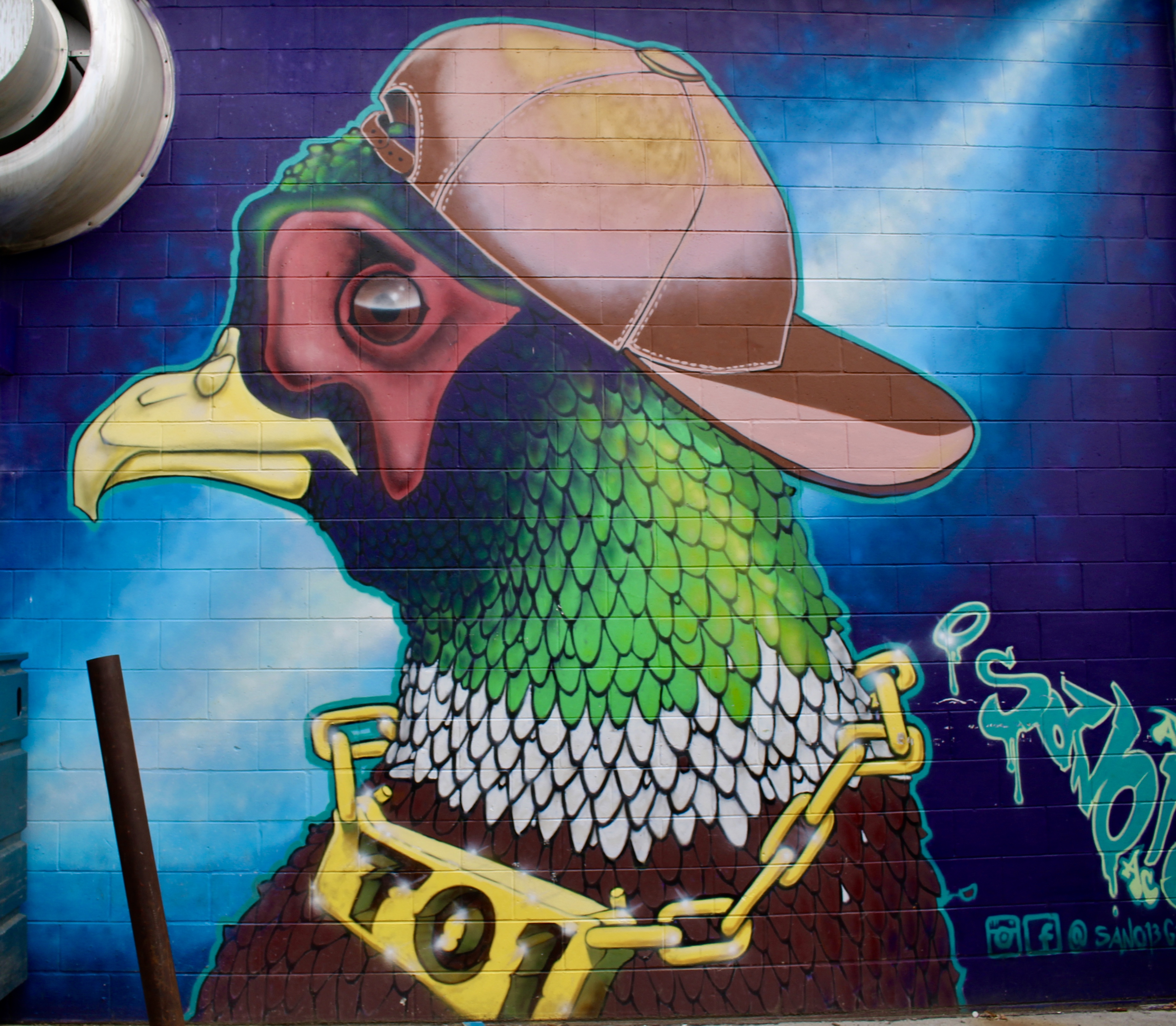 fullsizeoutput_1e524