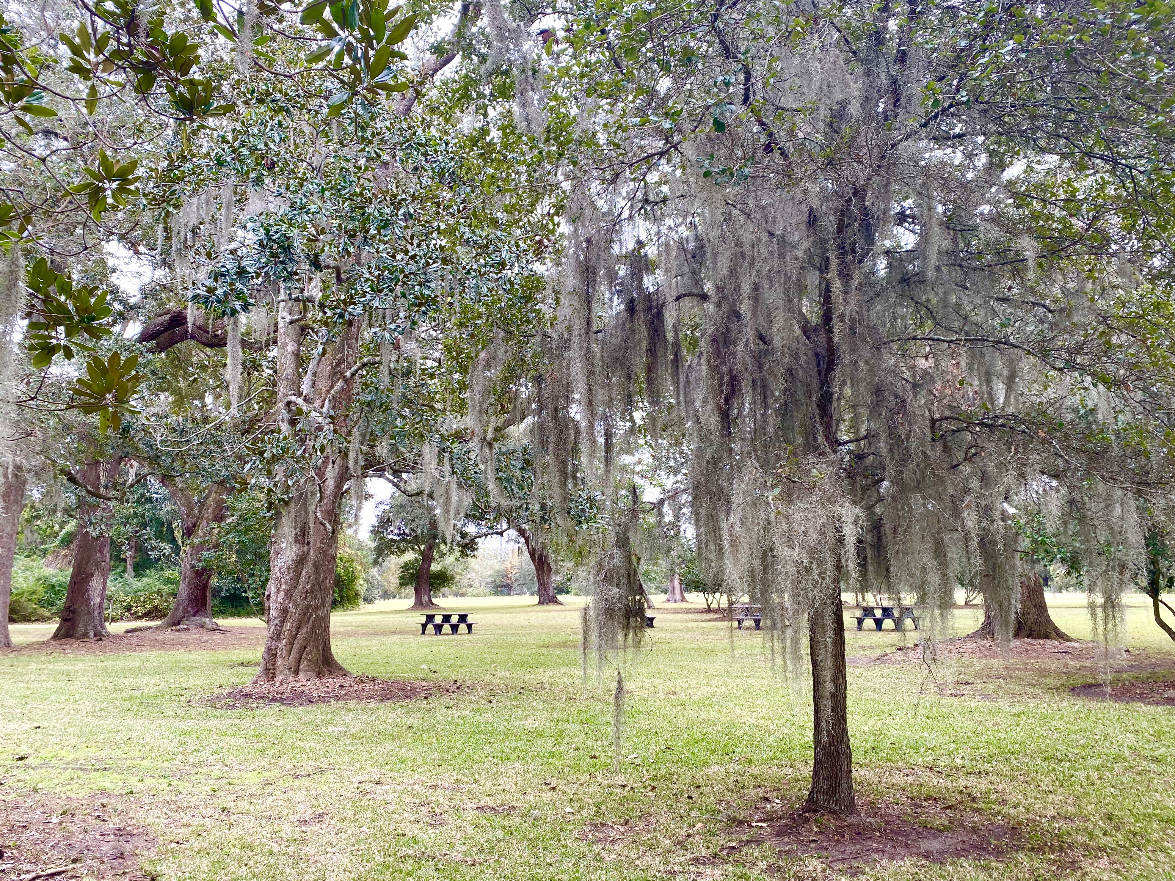 fullsizeoutput_1e65f