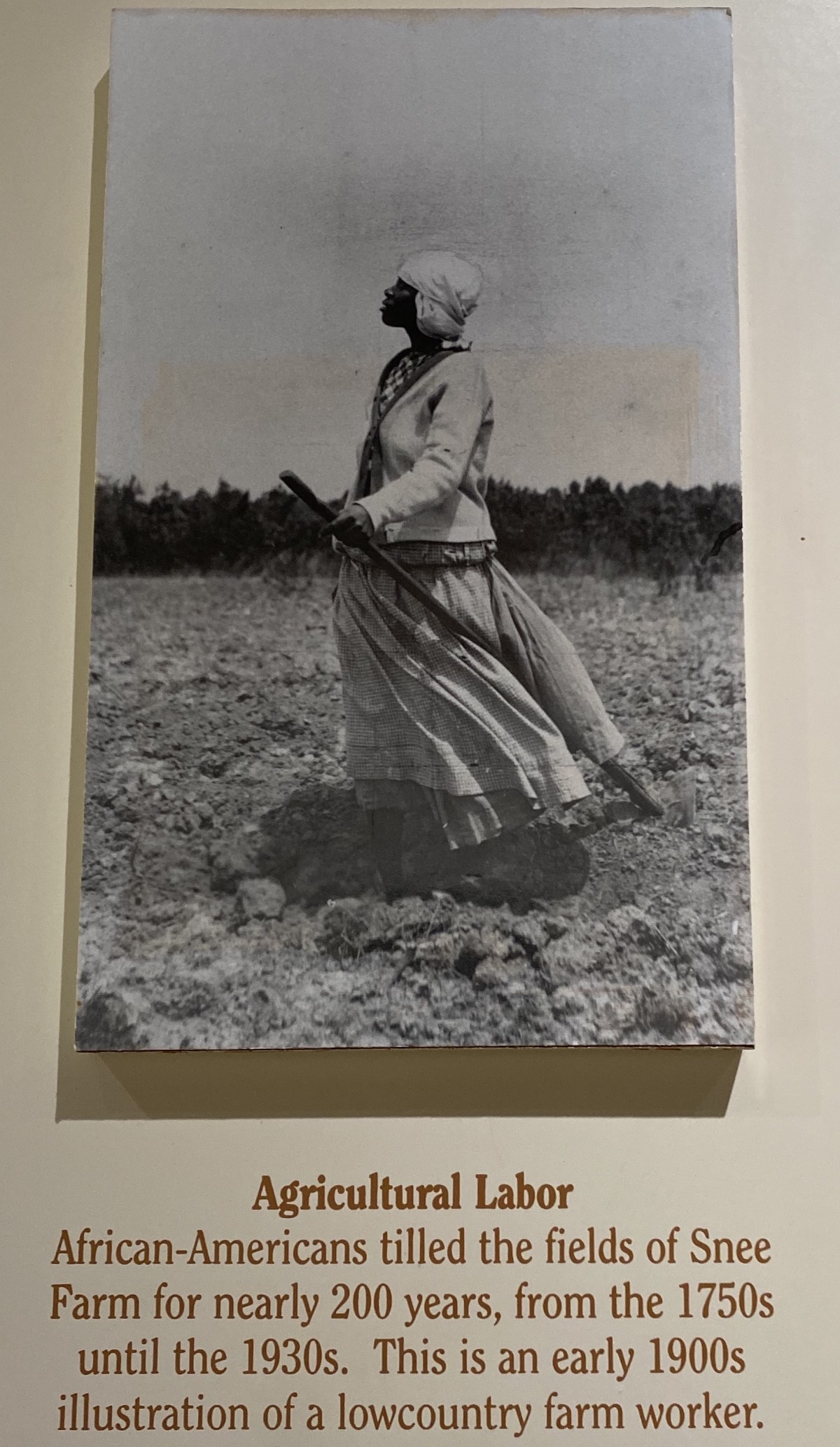 fullsizeoutput_1e66b