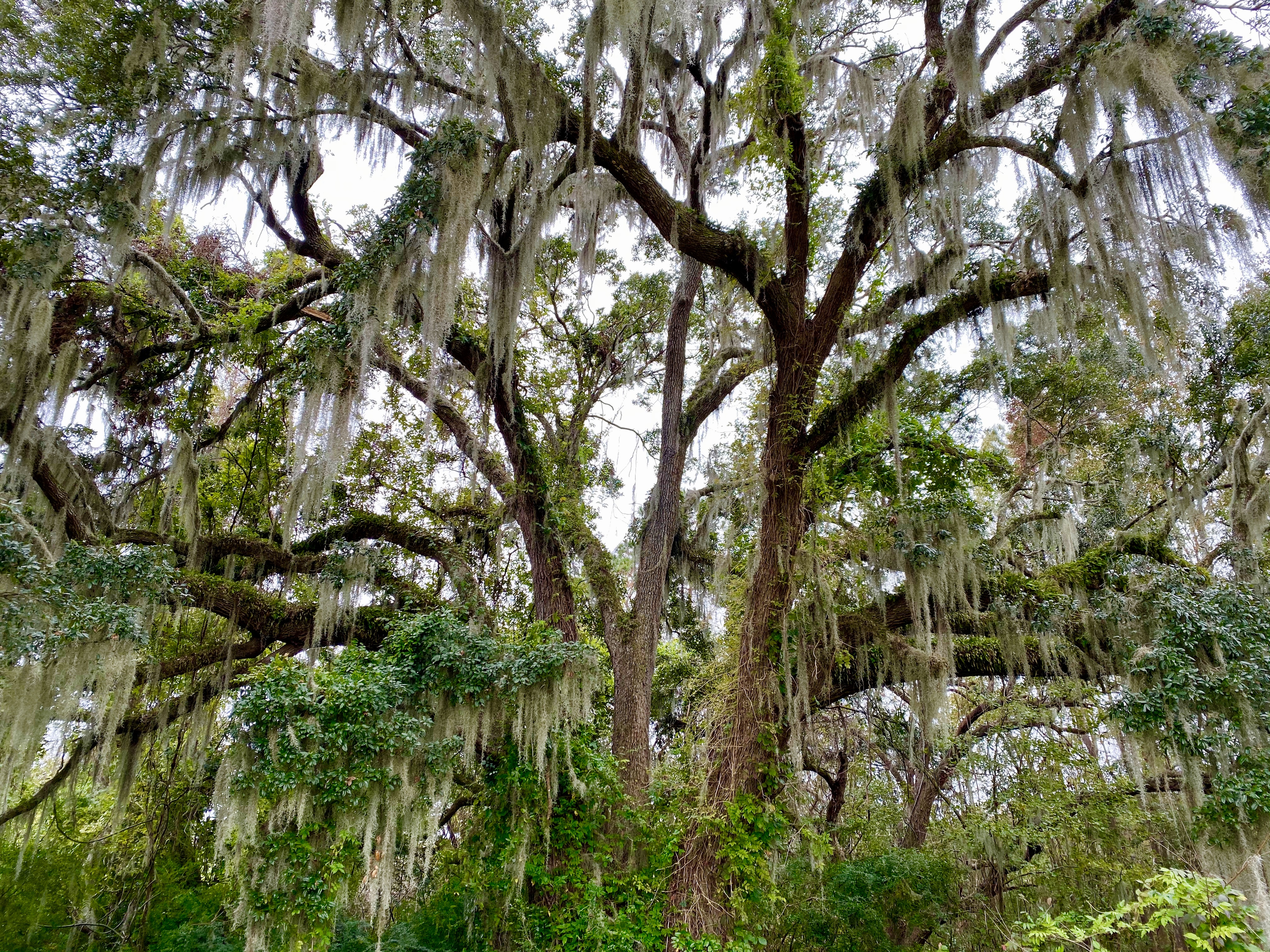 fullsizeoutput_1e66f