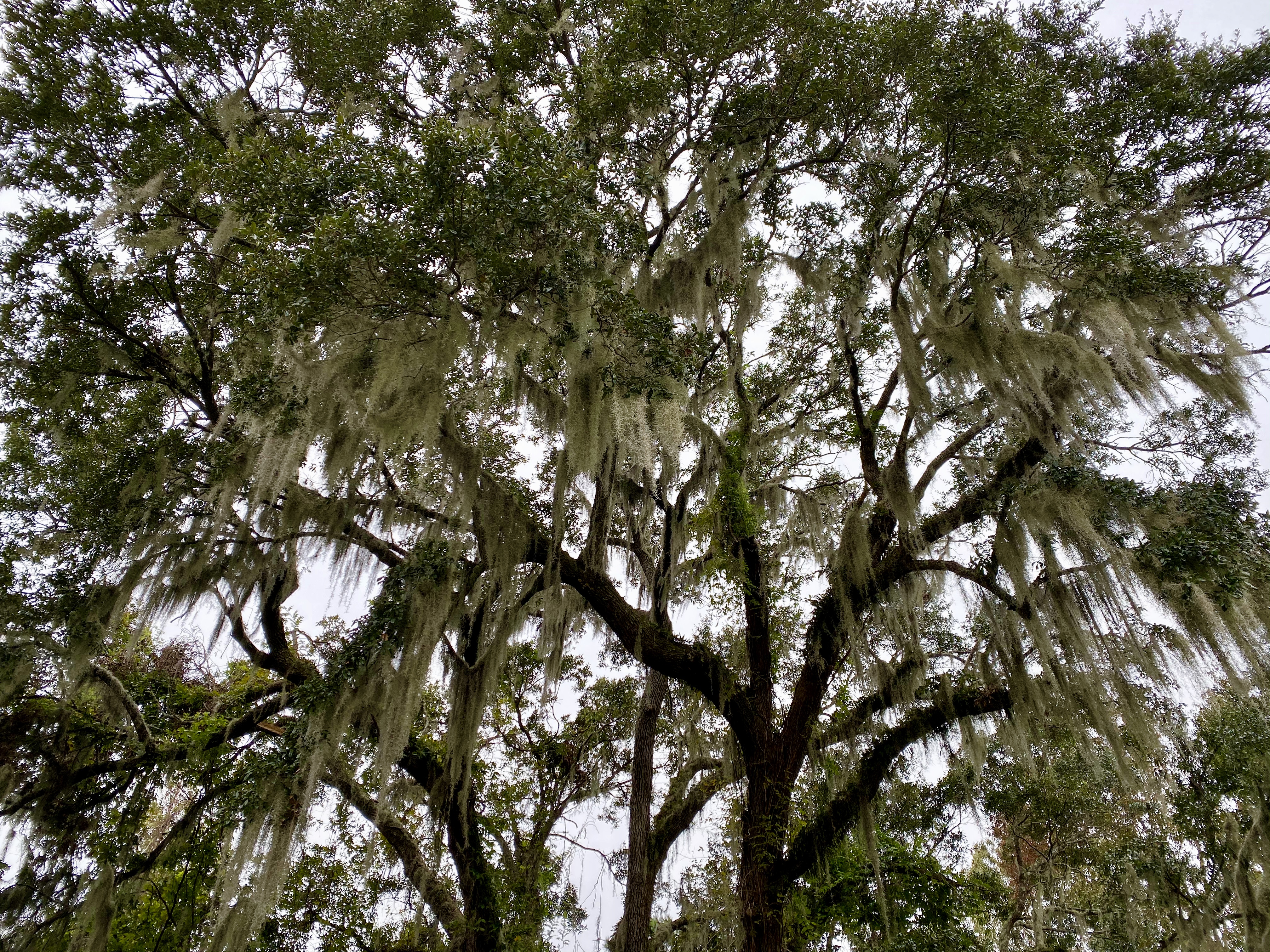 fullsizeoutput_1e670