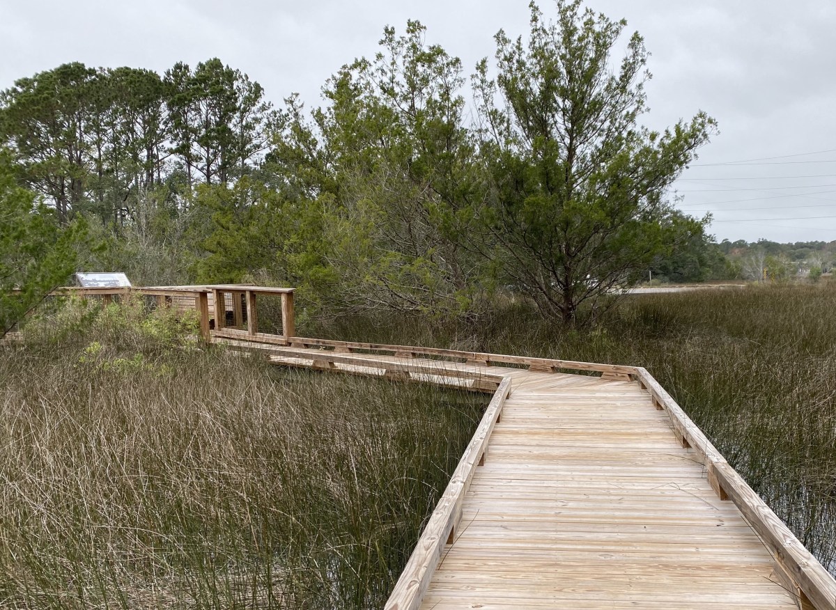 fullsizeoutput_1e674