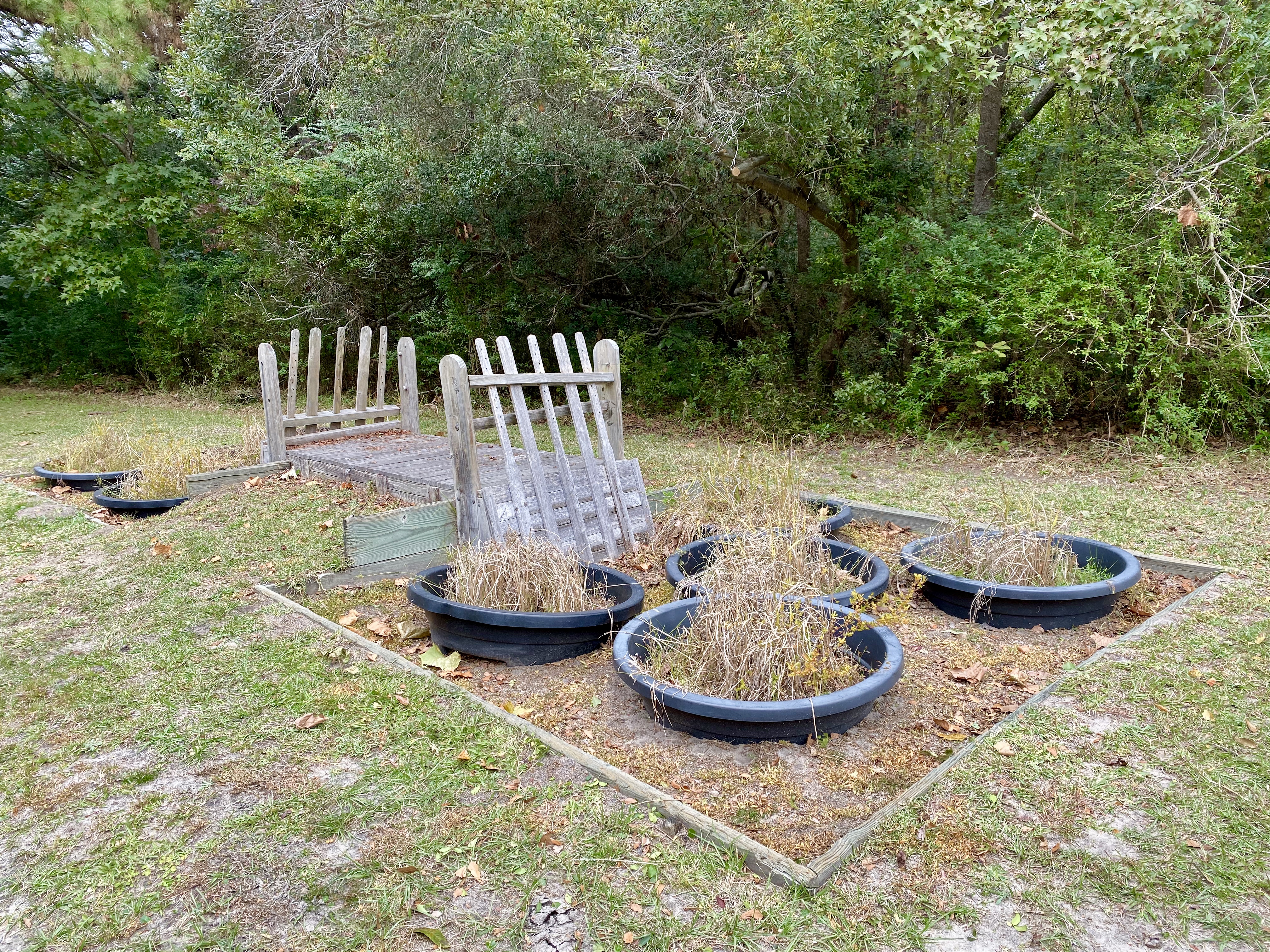 fullsizeoutput_1e675