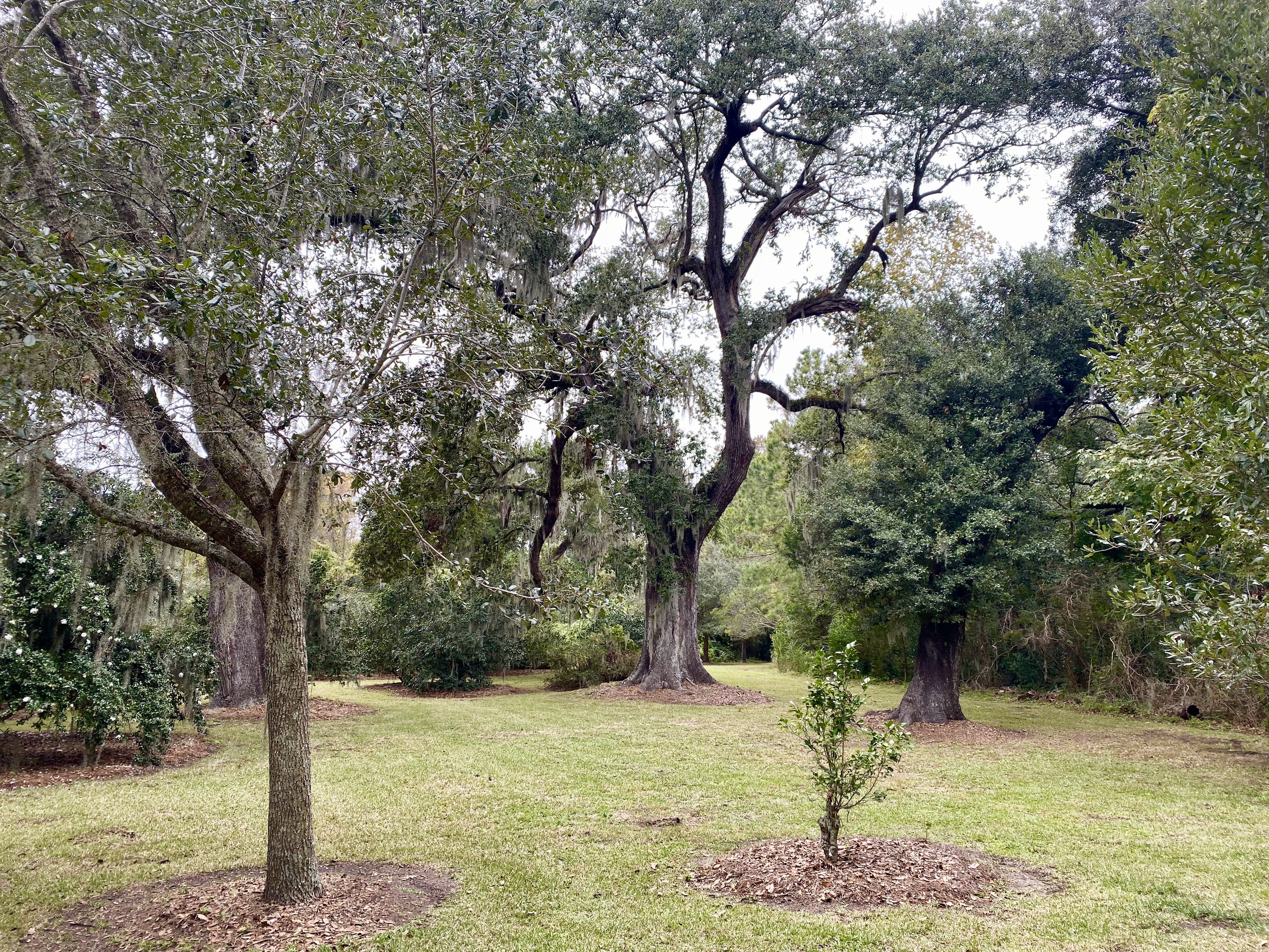 fullsizeoutput_1e676