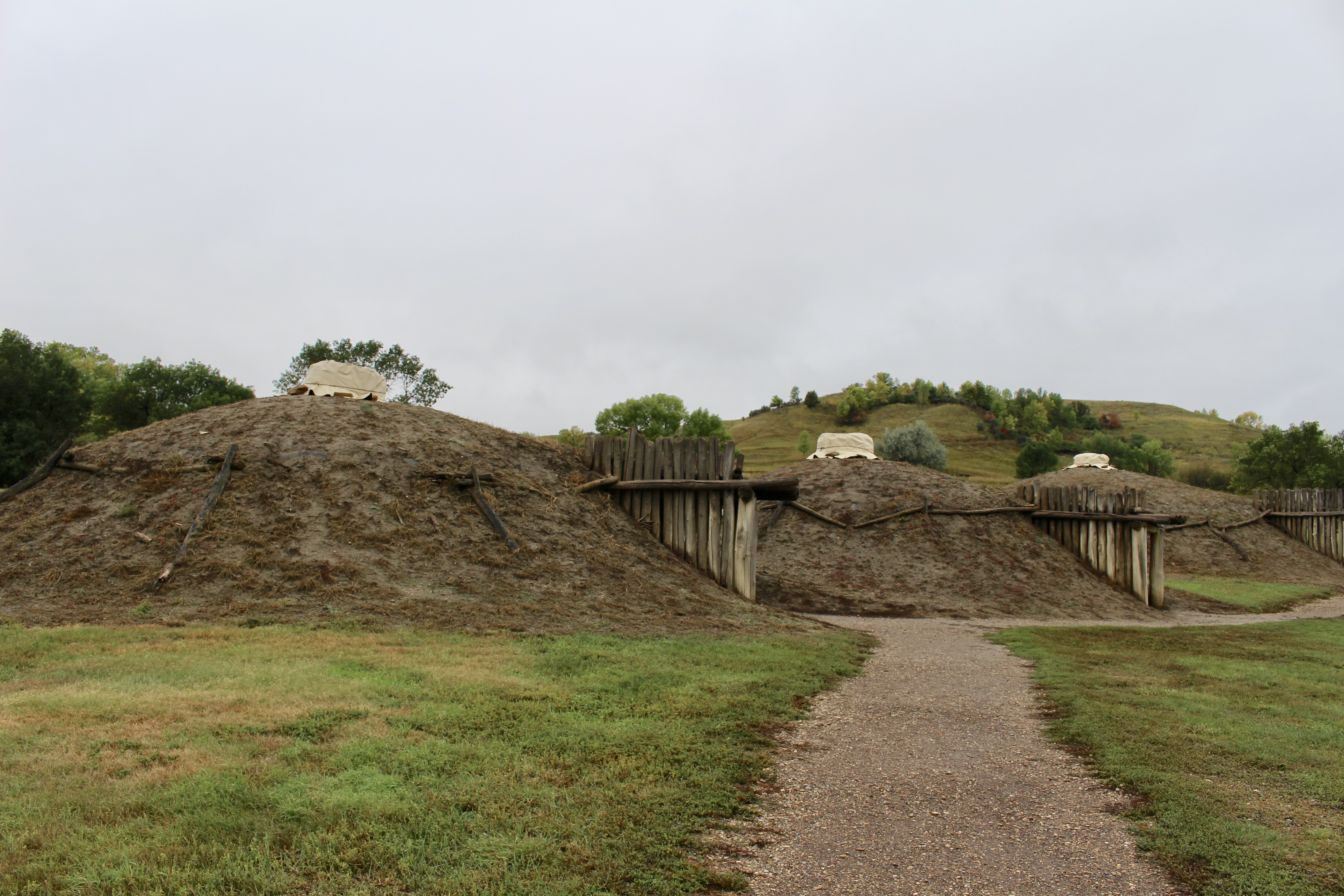 fullsizeoutput_1e809