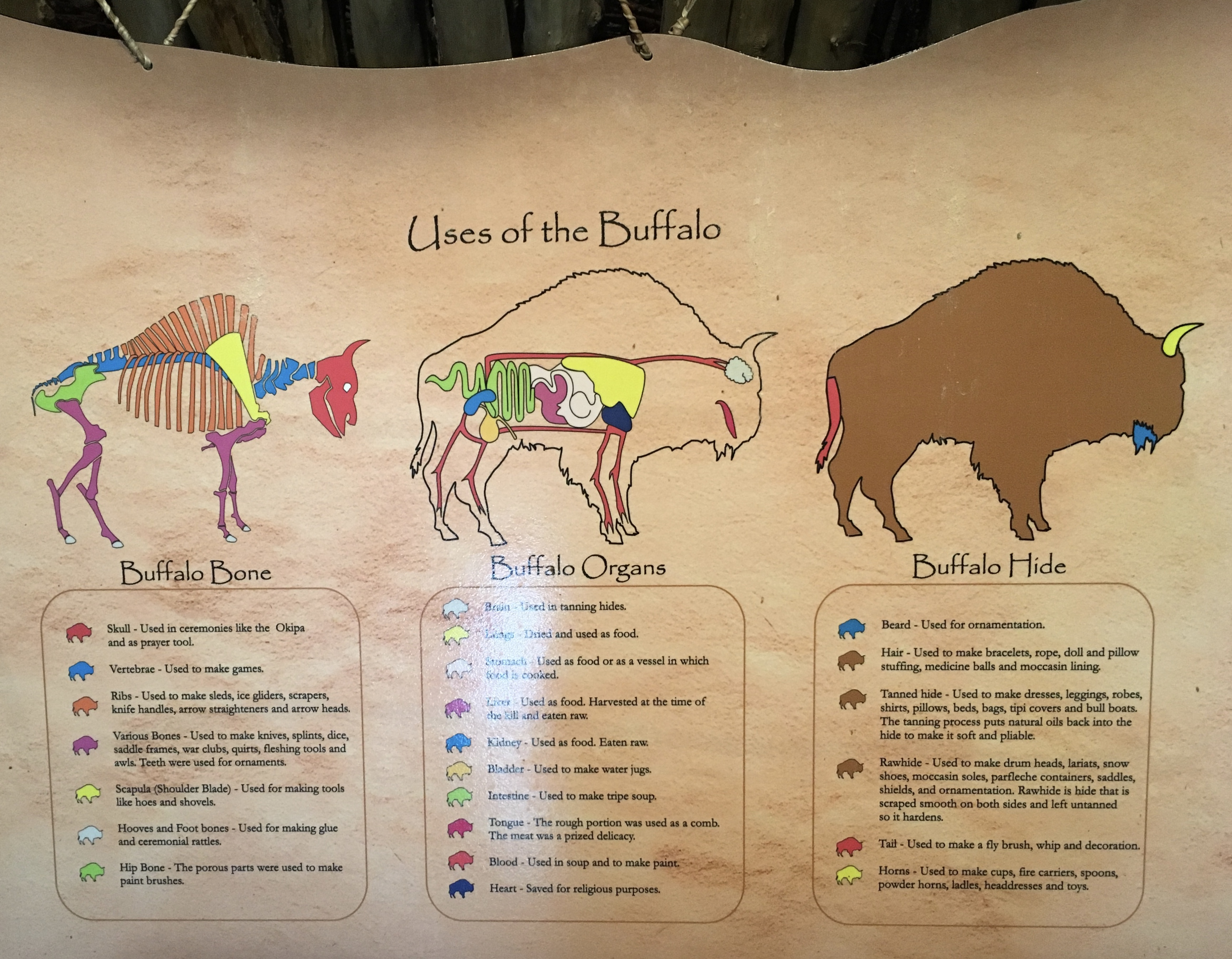 fullsizeoutput_1e82a