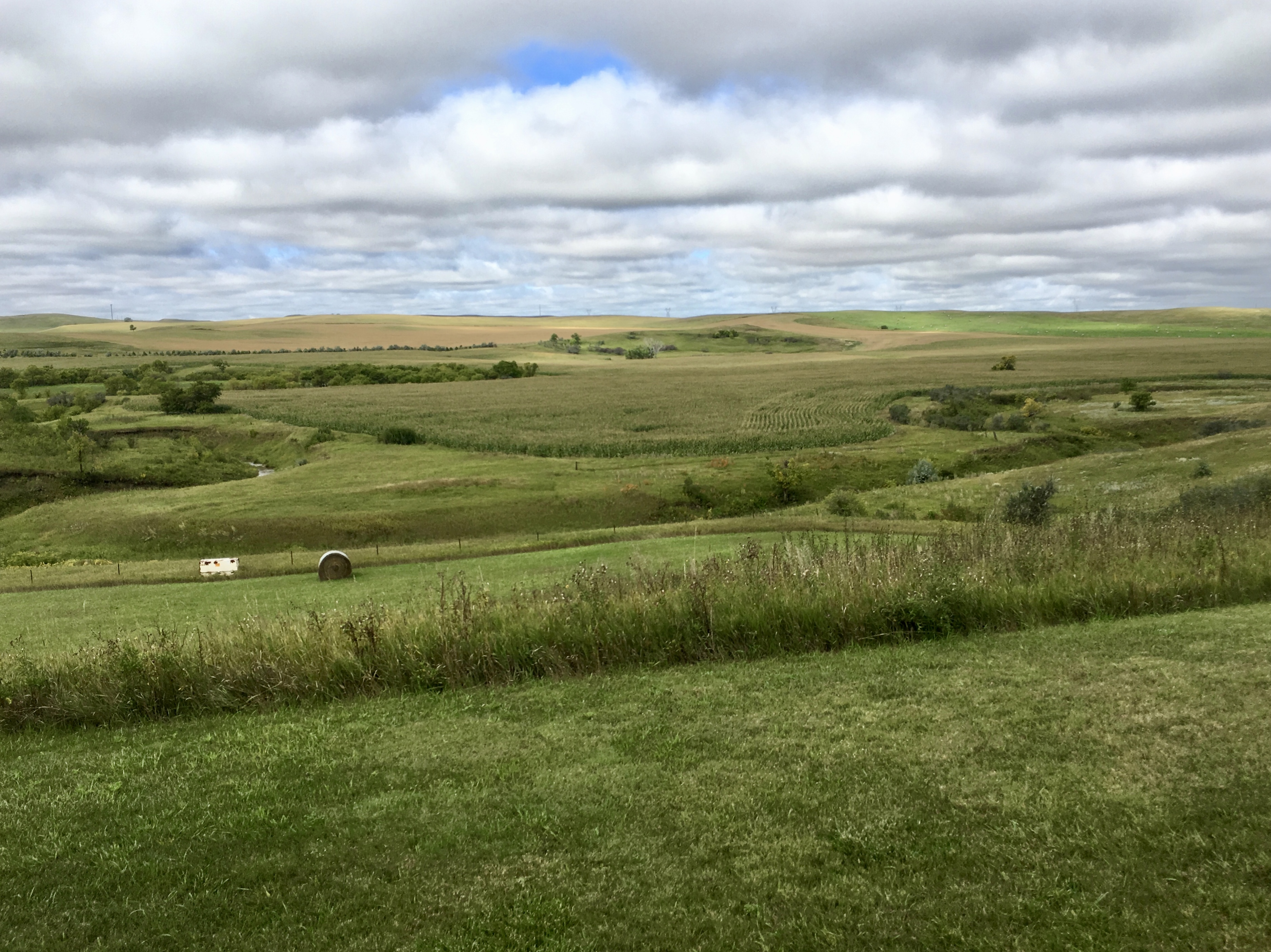 fullsizeoutput_1e83c