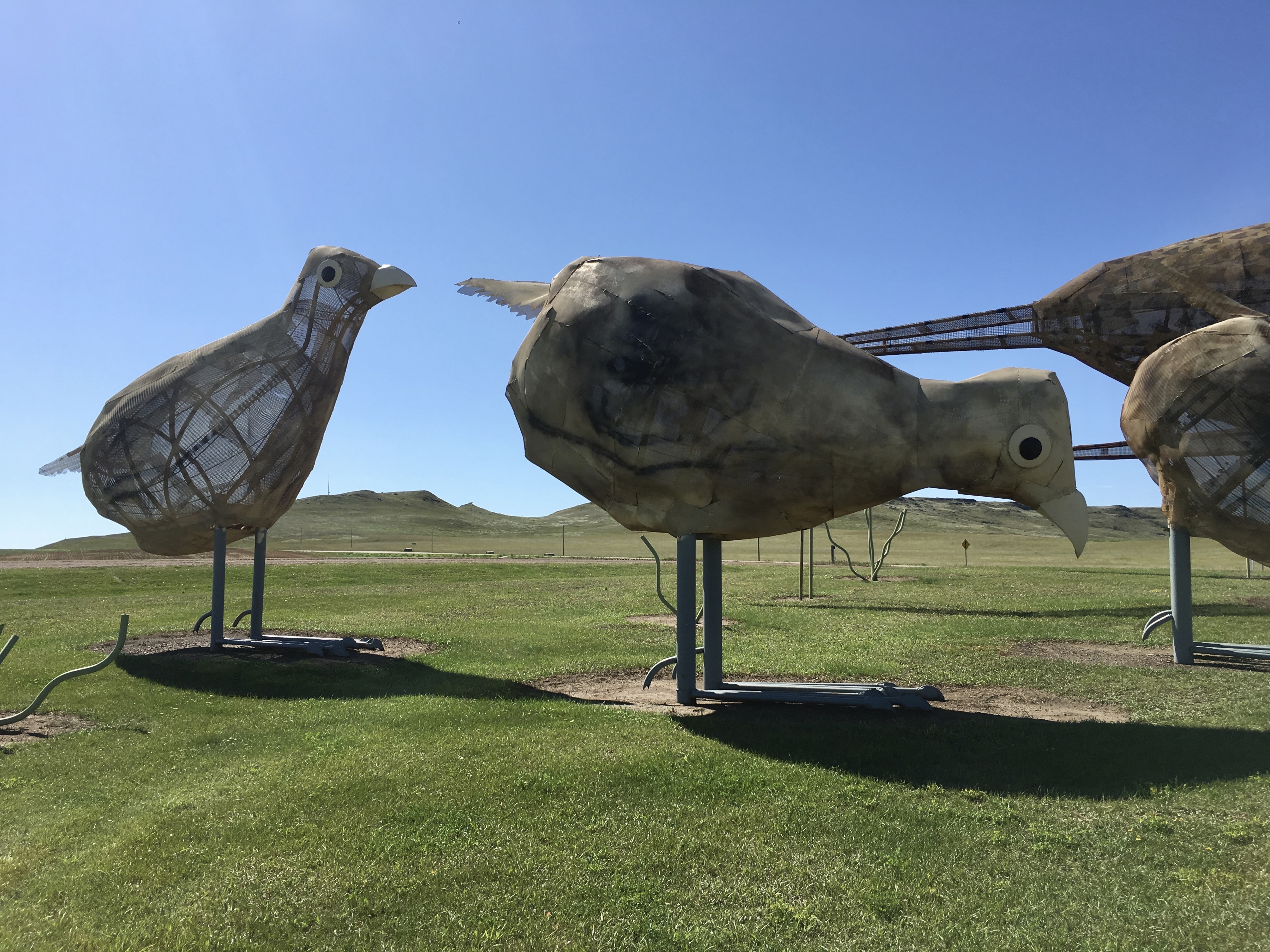 fullsizeoutput_1e83e