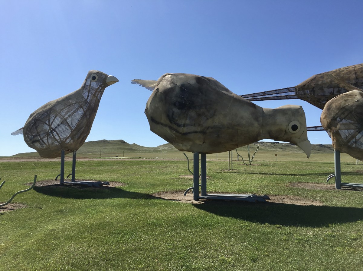 fullsizeoutput_1e83e