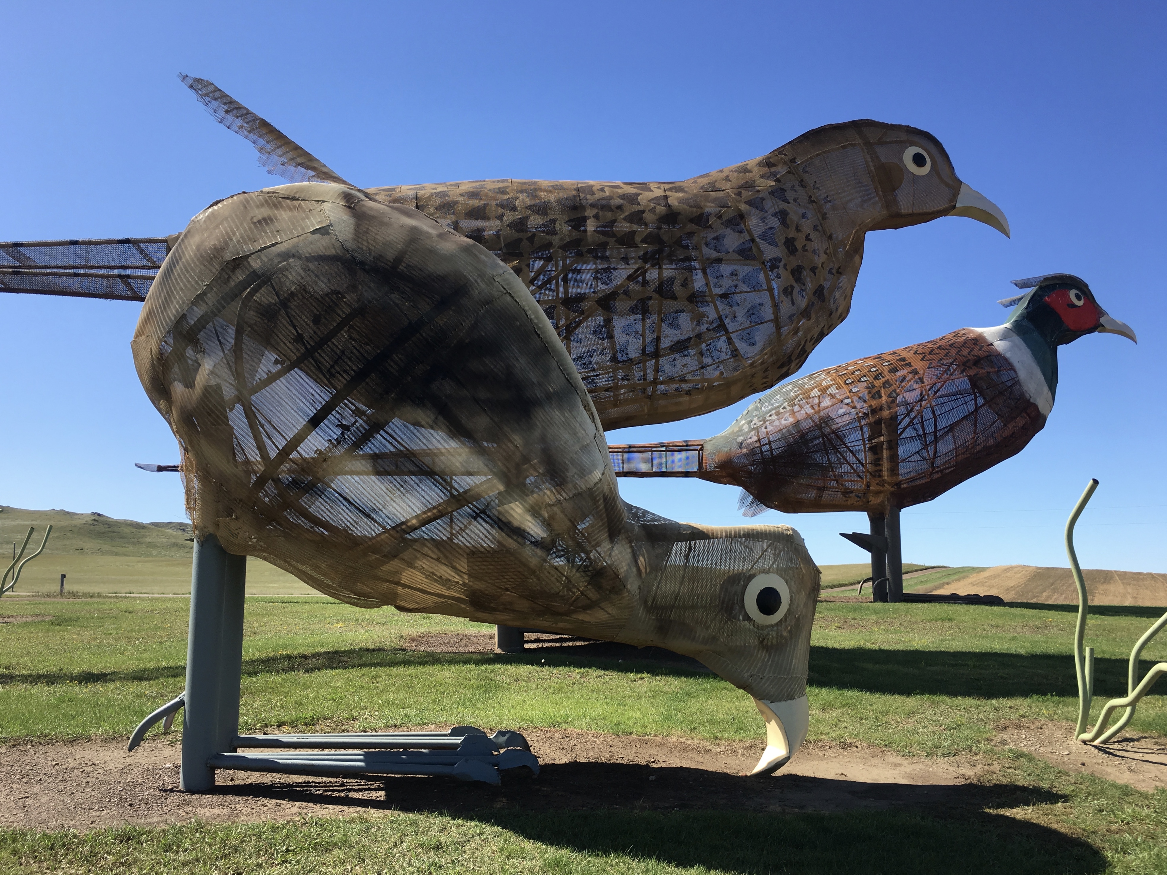 fullsizeoutput_1e83f