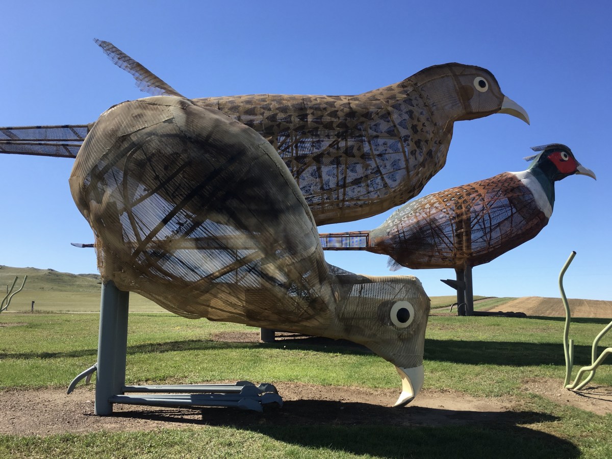 fullsizeoutput_1e83f