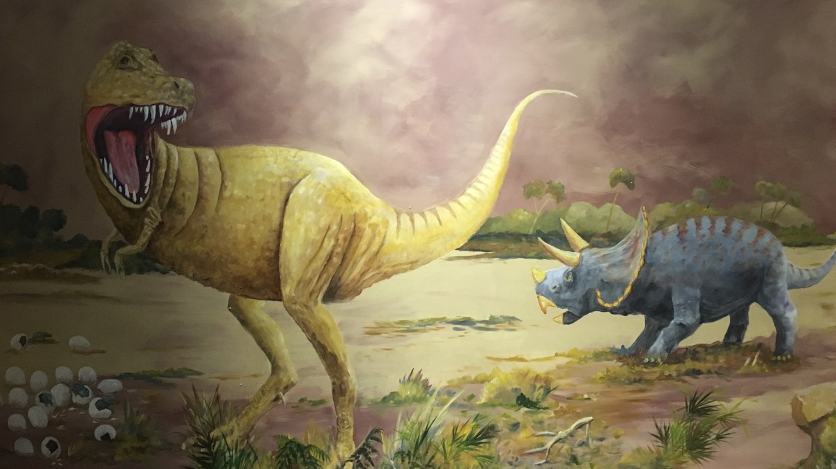 fullsizeoutput_1e85b