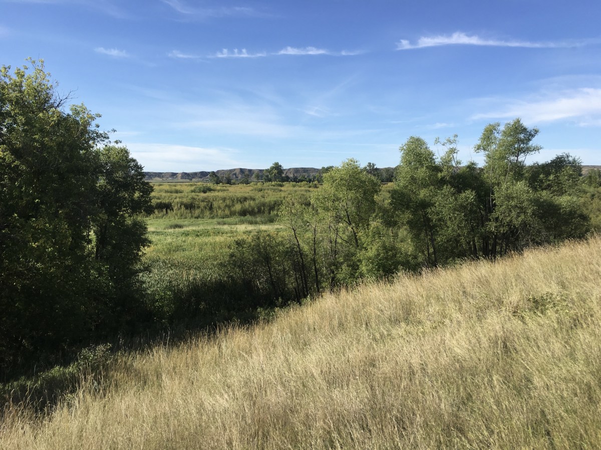 fullsizeoutput_1e8dc