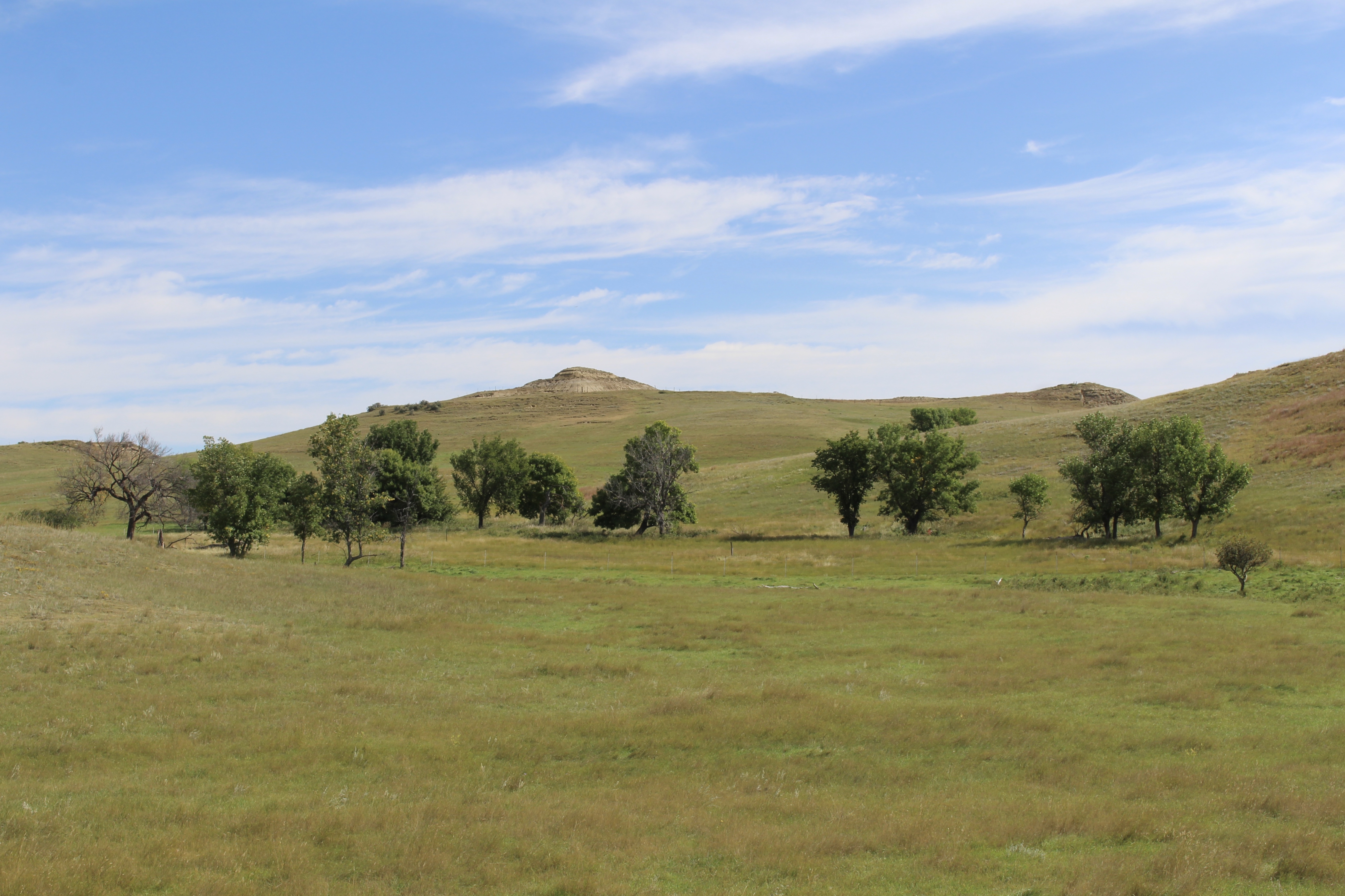 fullsizeoutput_1e8df