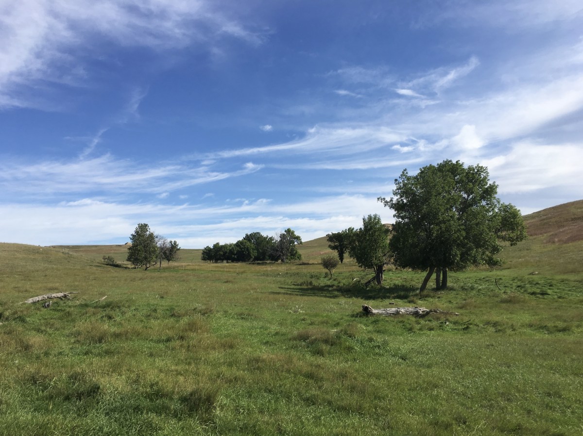 fullsizeoutput_1e8e1