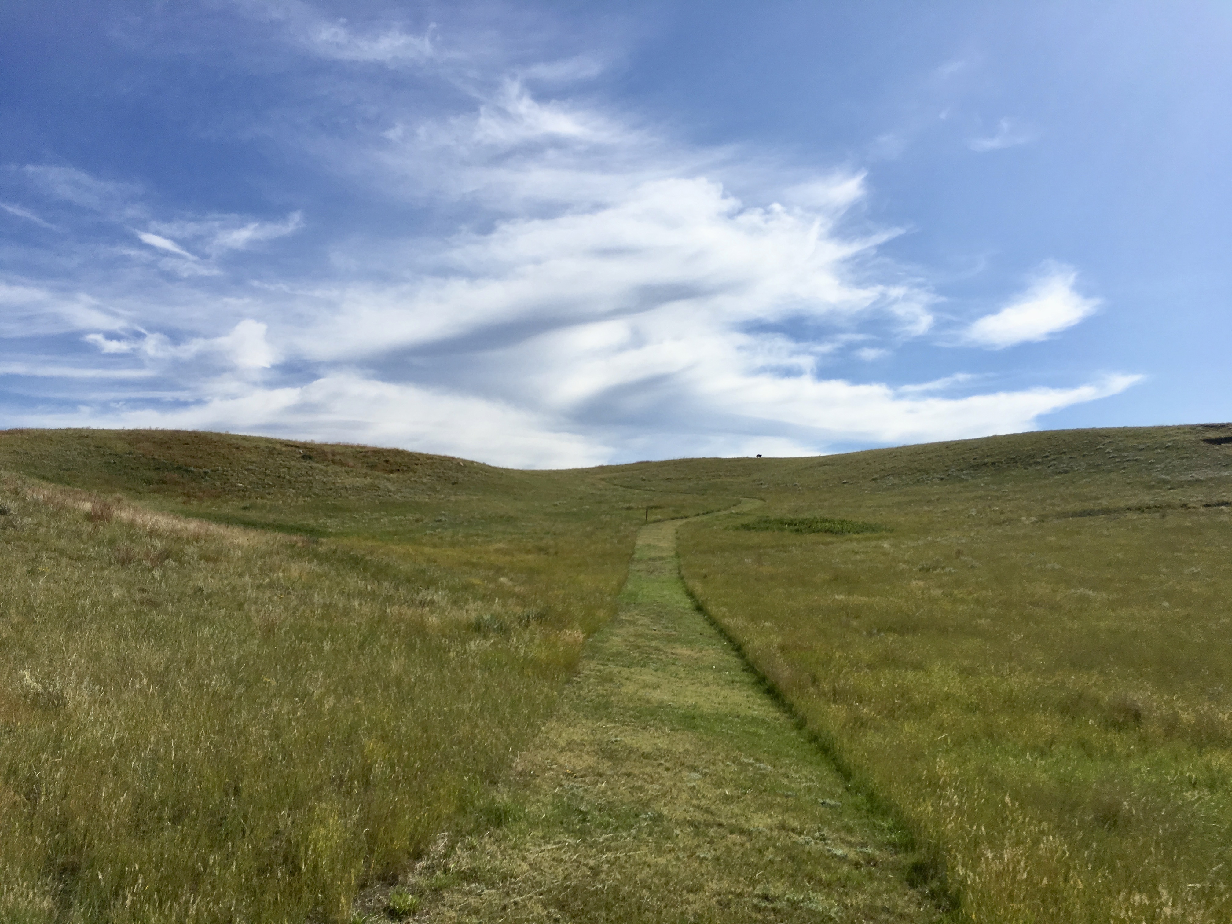 fullsizeoutput_1e8e2