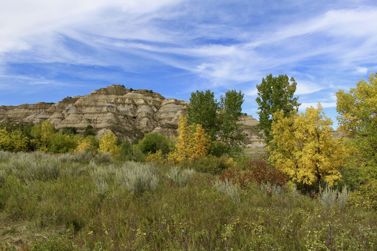 fullsizeoutput_1eeed