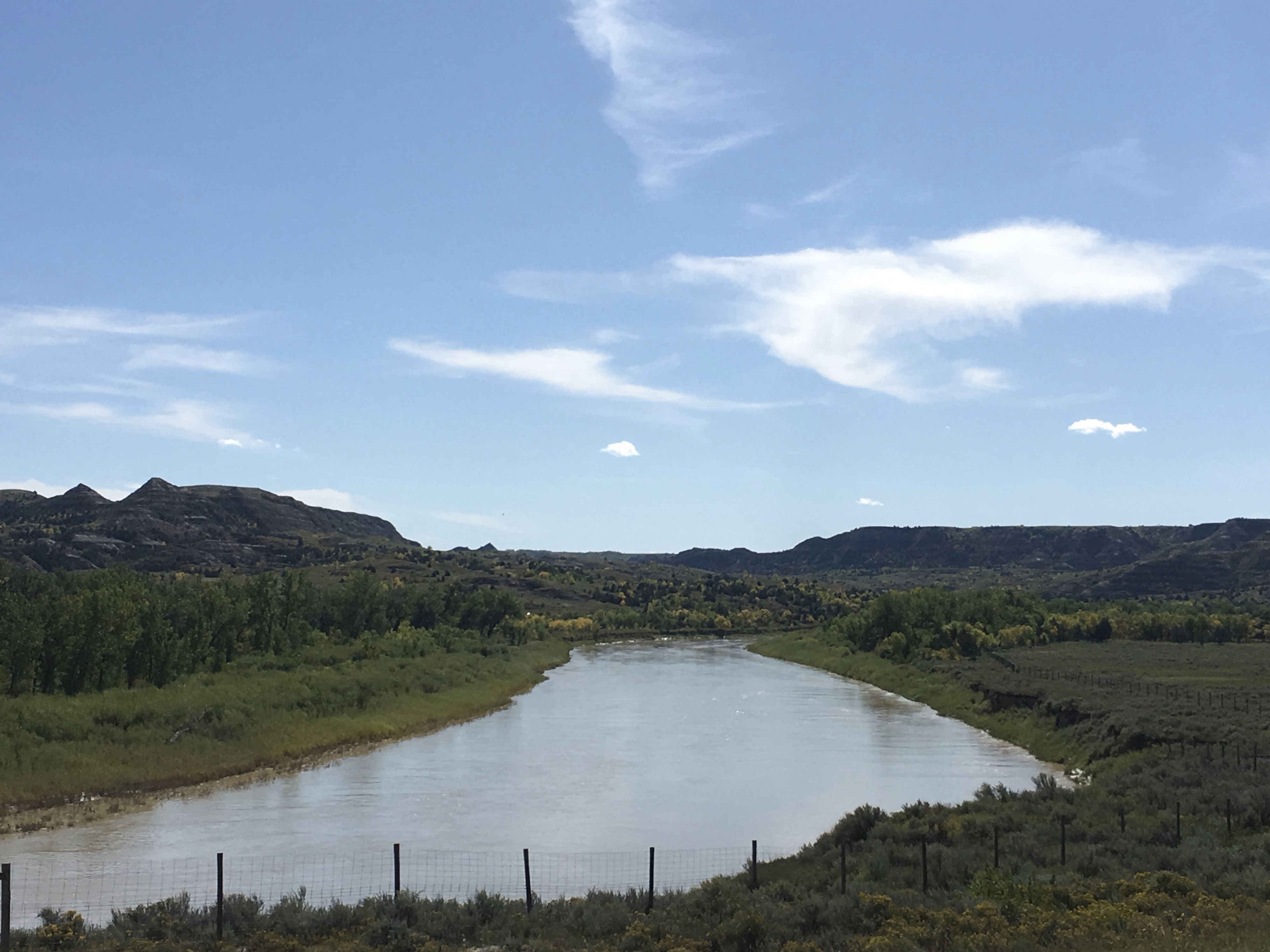 fullsizeoutput_1eeee